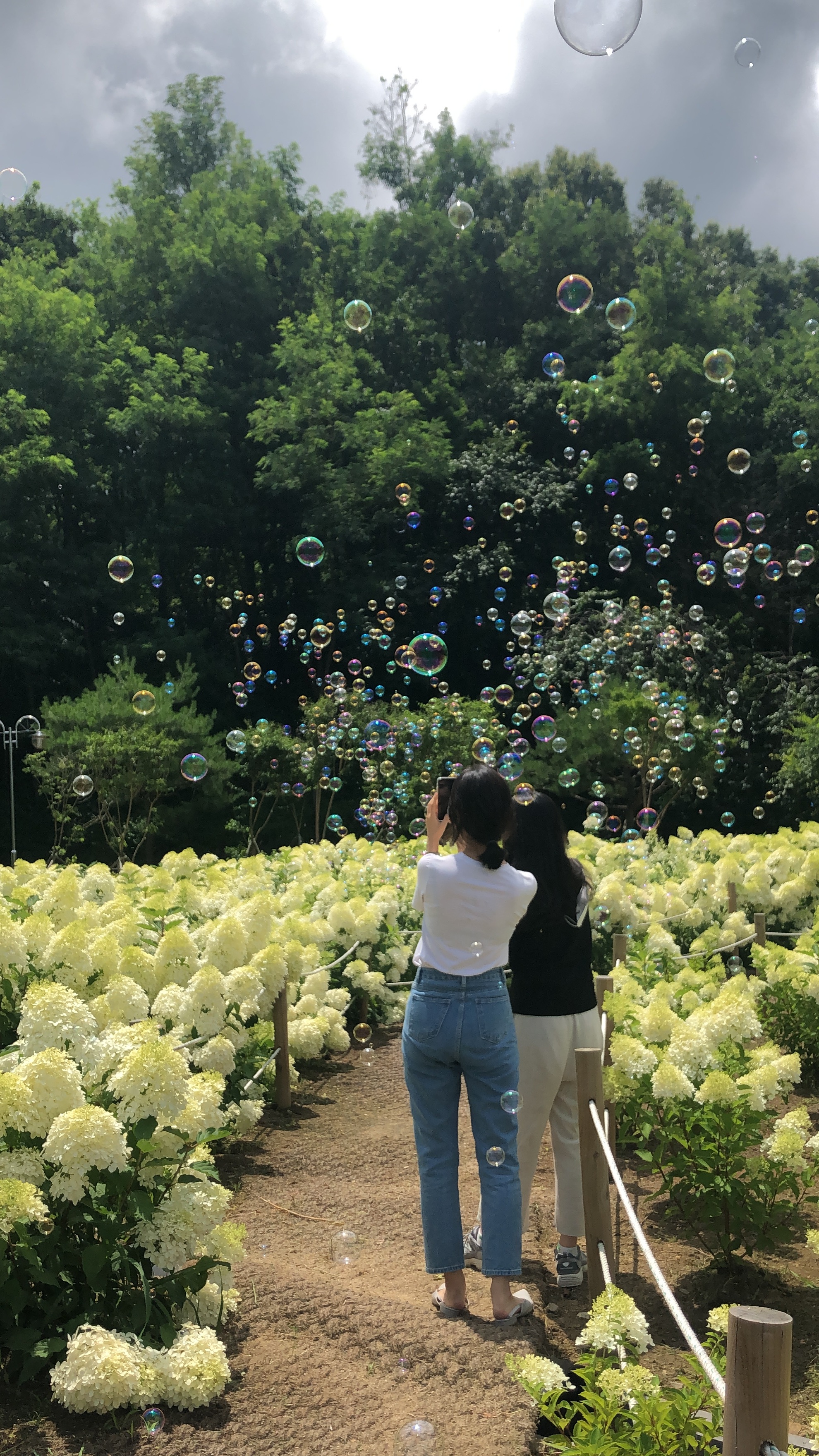 프레이밍 설명사진