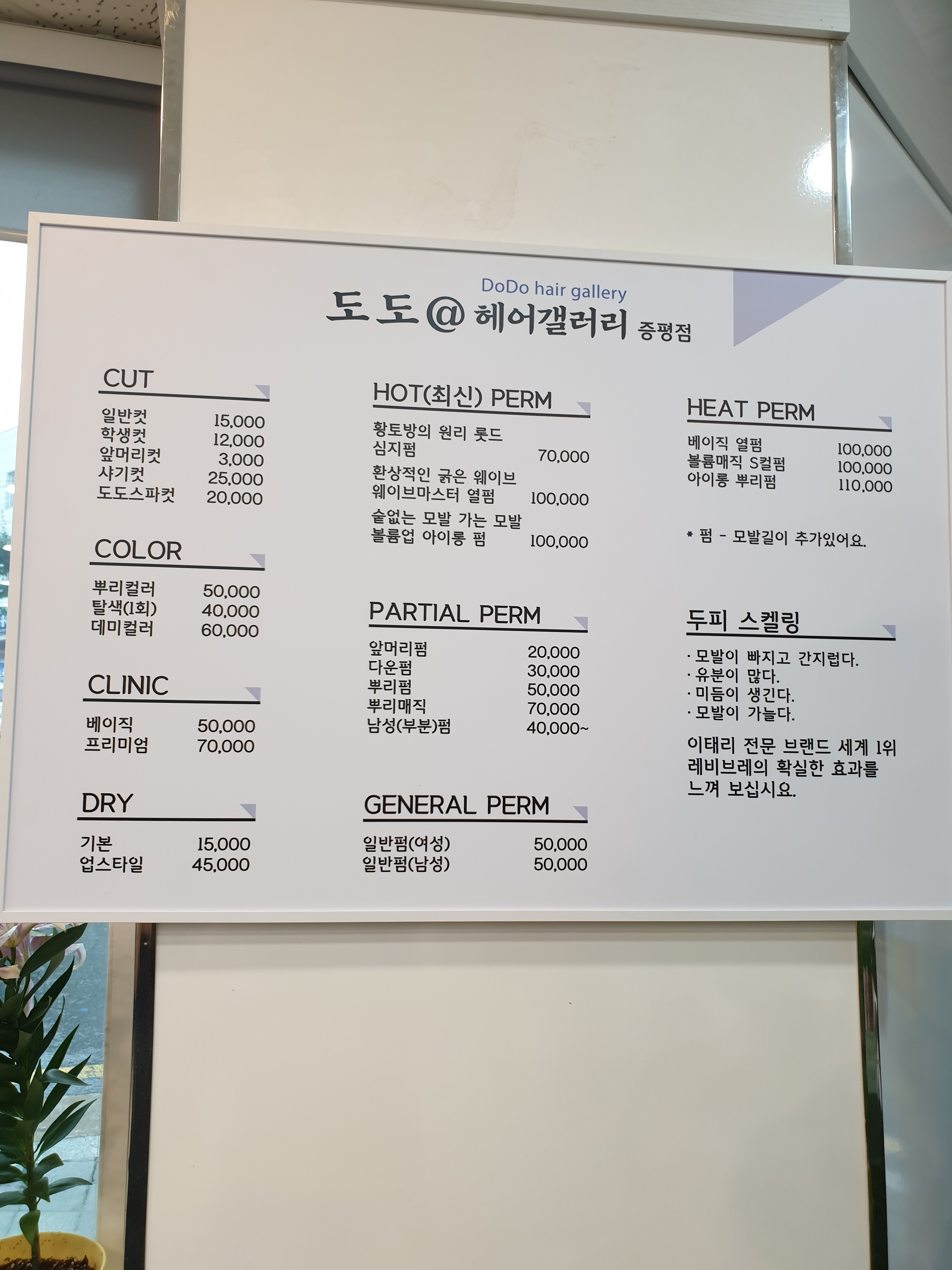 도도헤어갤러리