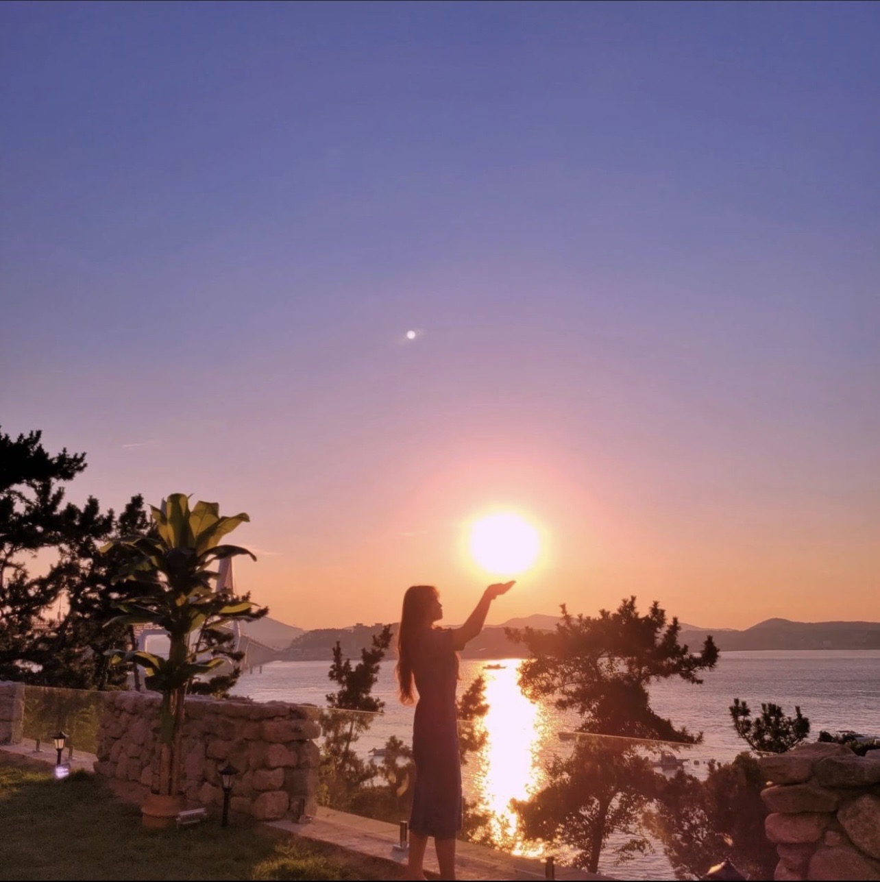 카페 메르디 반려동물 동반 카페