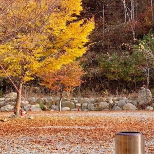 달과별 캠핑장