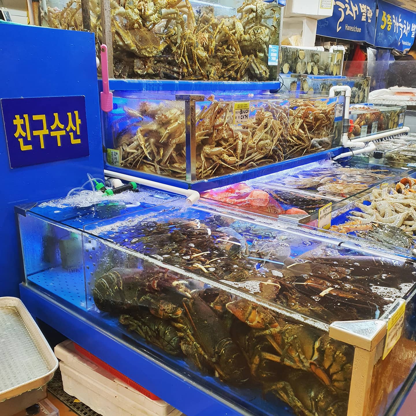친구수산