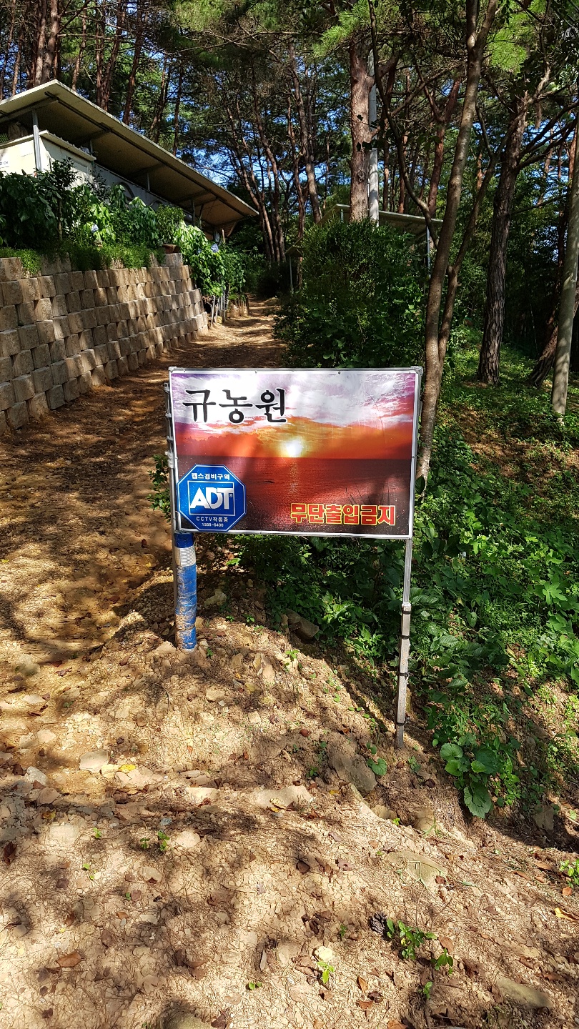 규농원