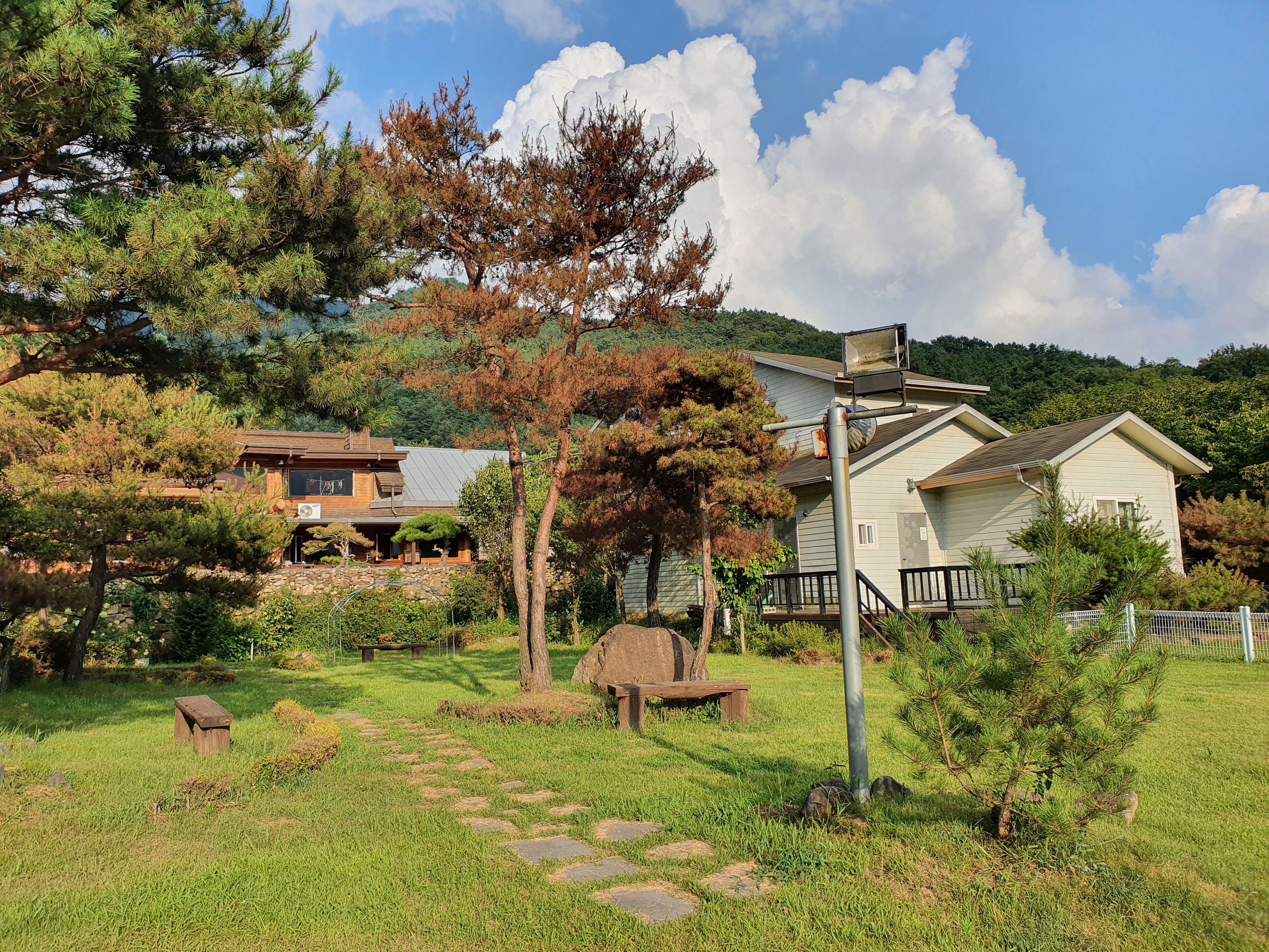 원더케어 대표 이미지