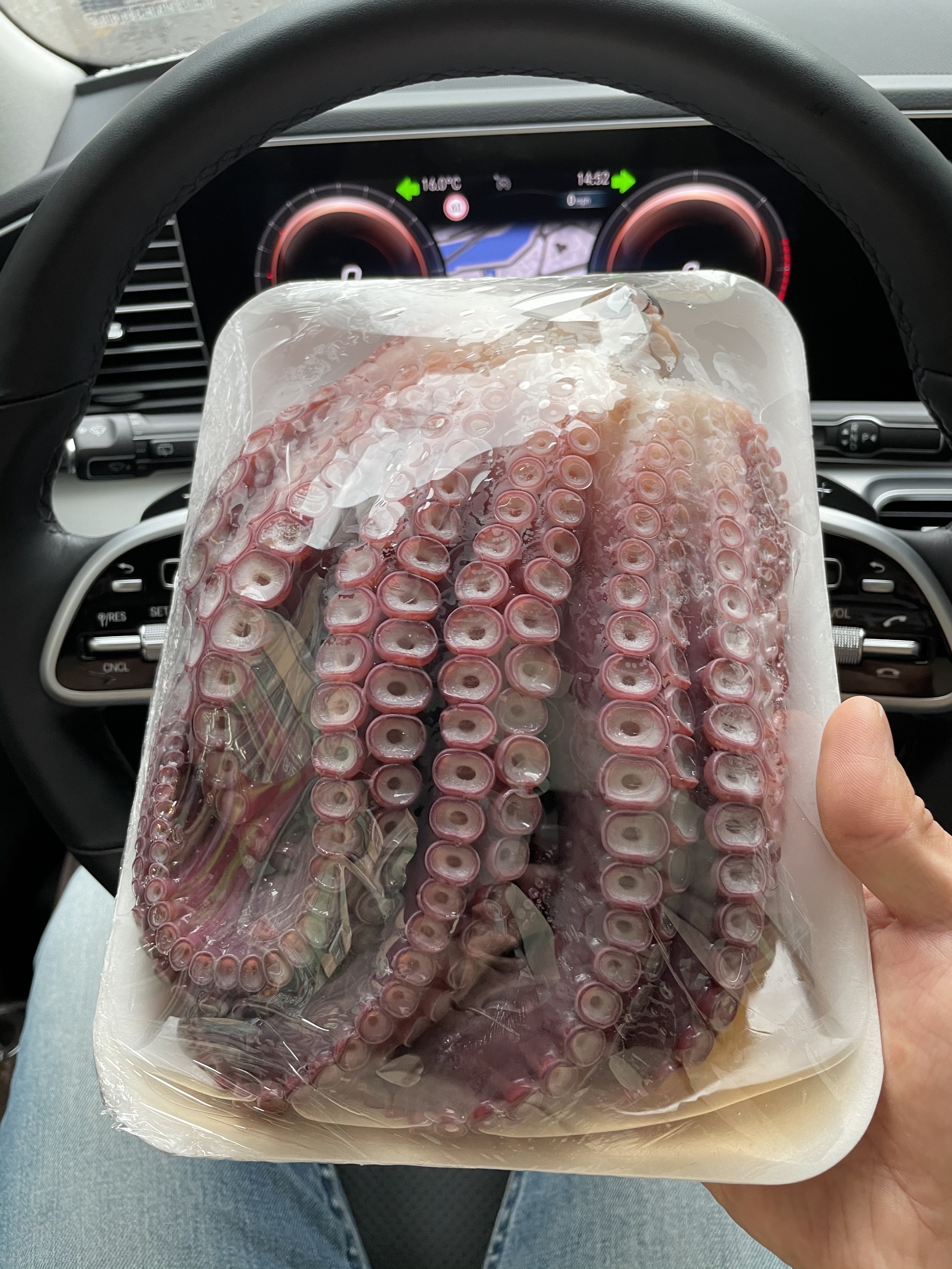바다인