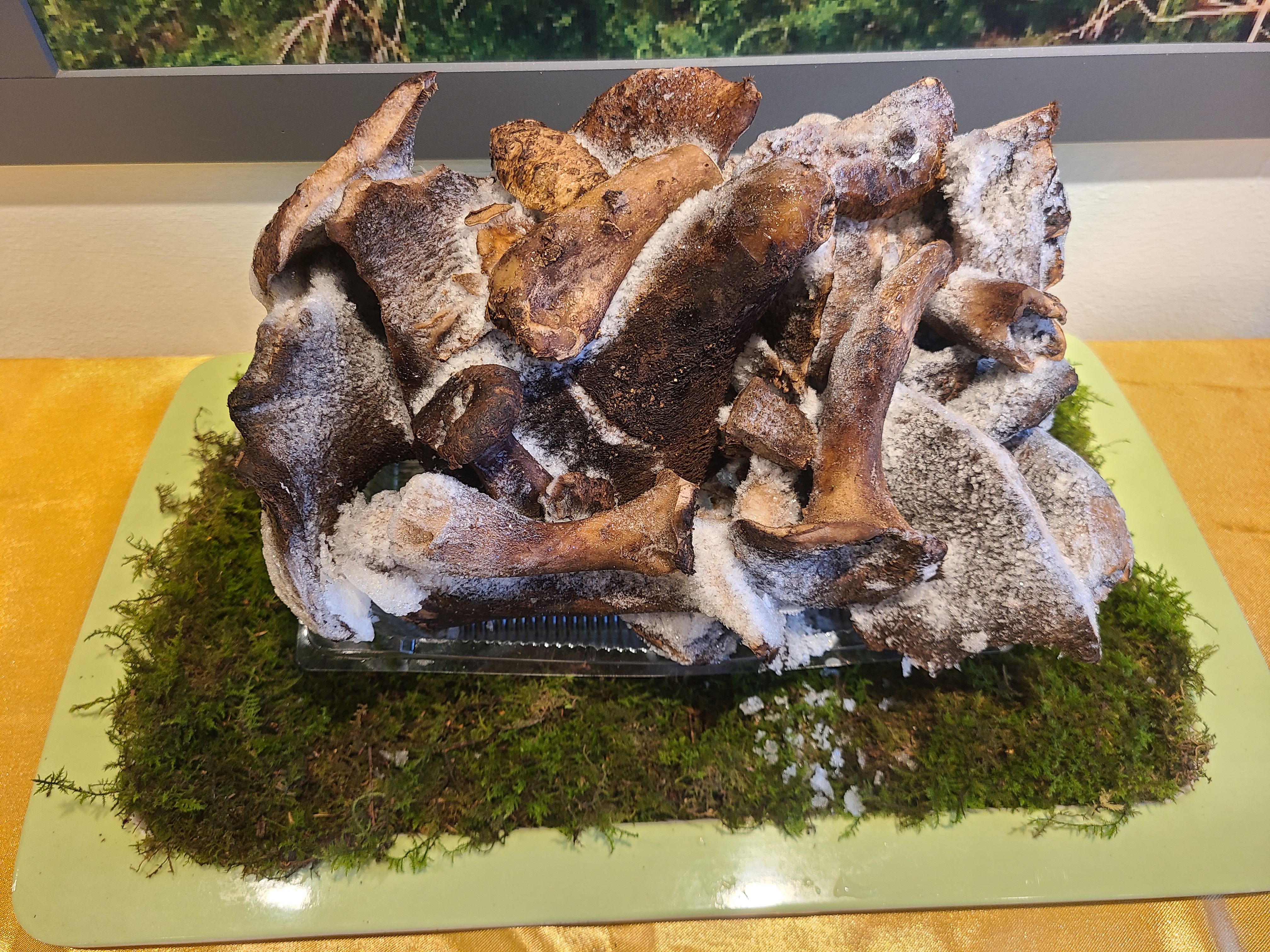 말바우 자연산 능이버섯가게