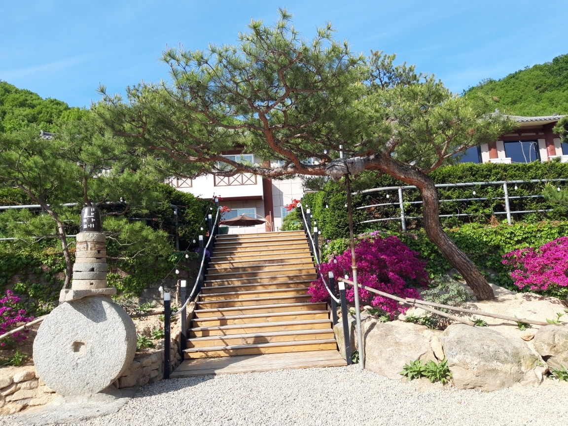 야한 캠핑장