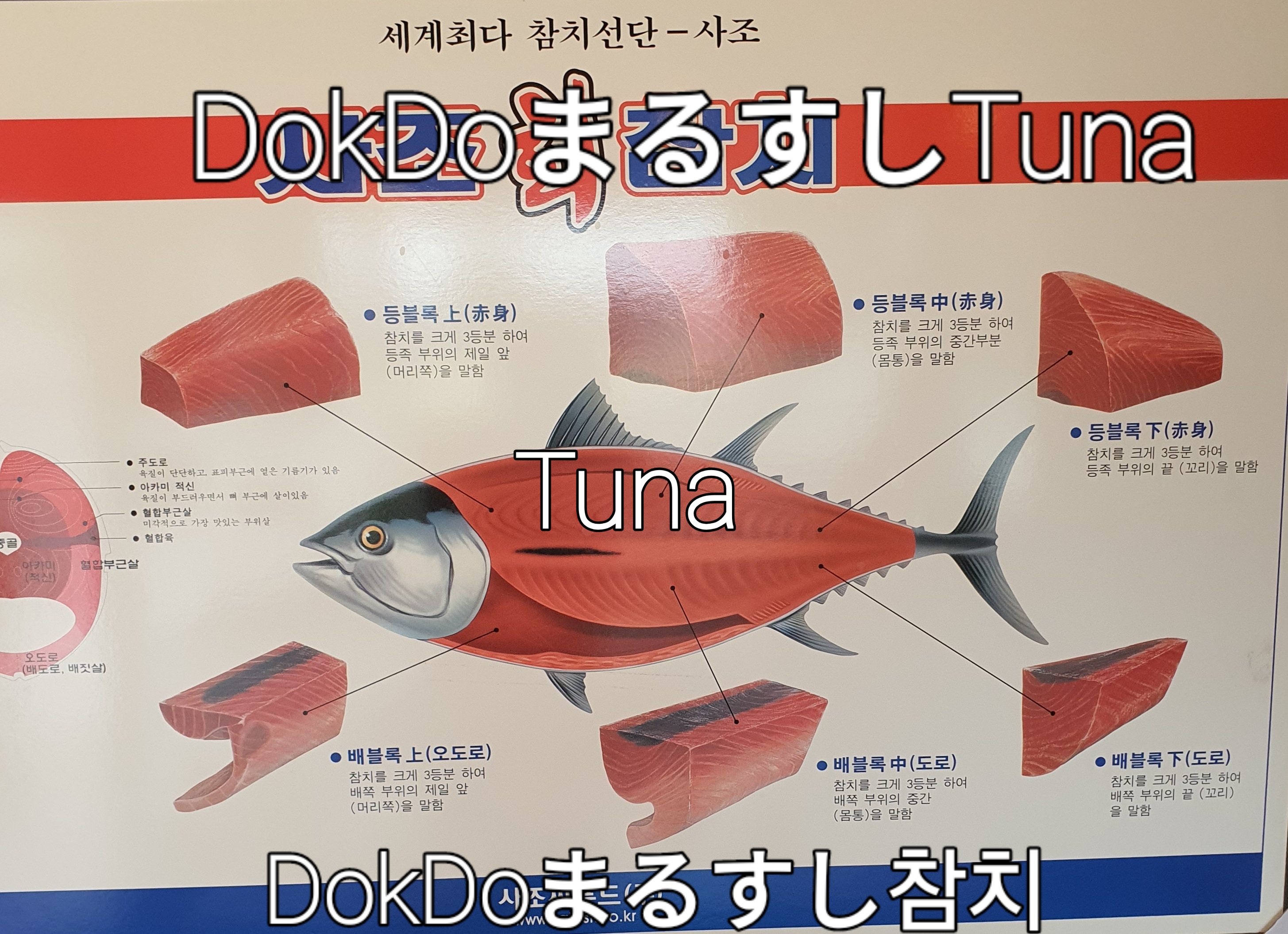 독도마루참치