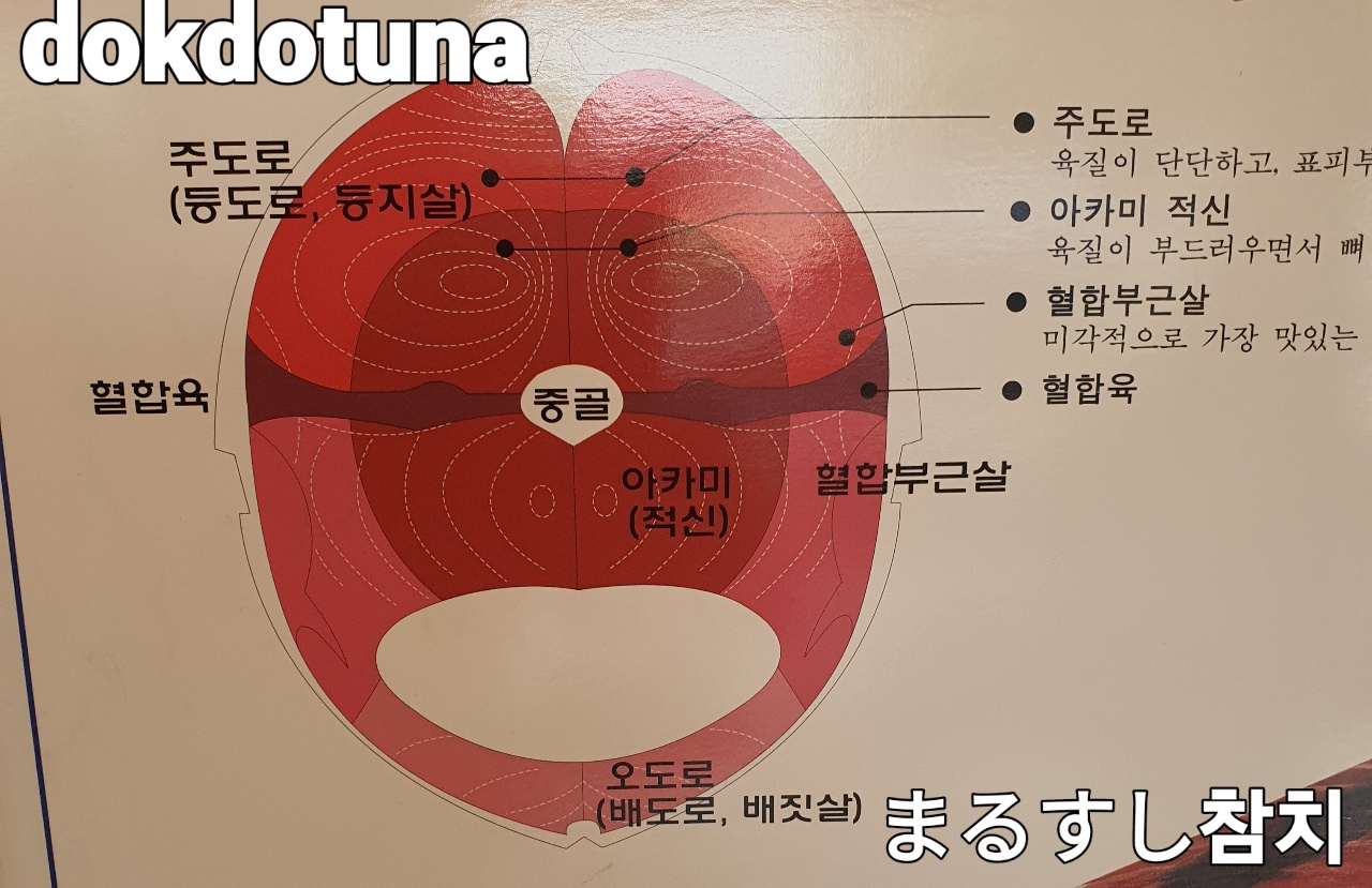 독도마루참치