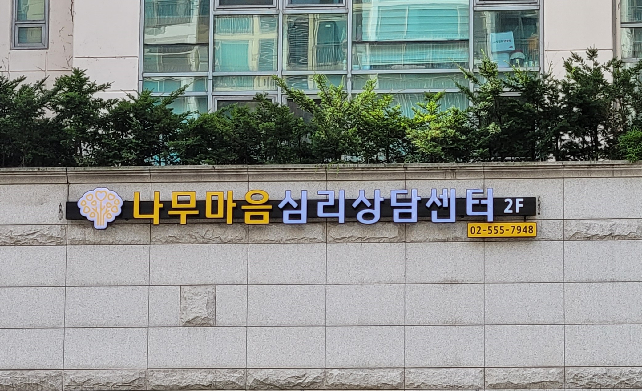 나무마음심리상담센터 대표 이미지