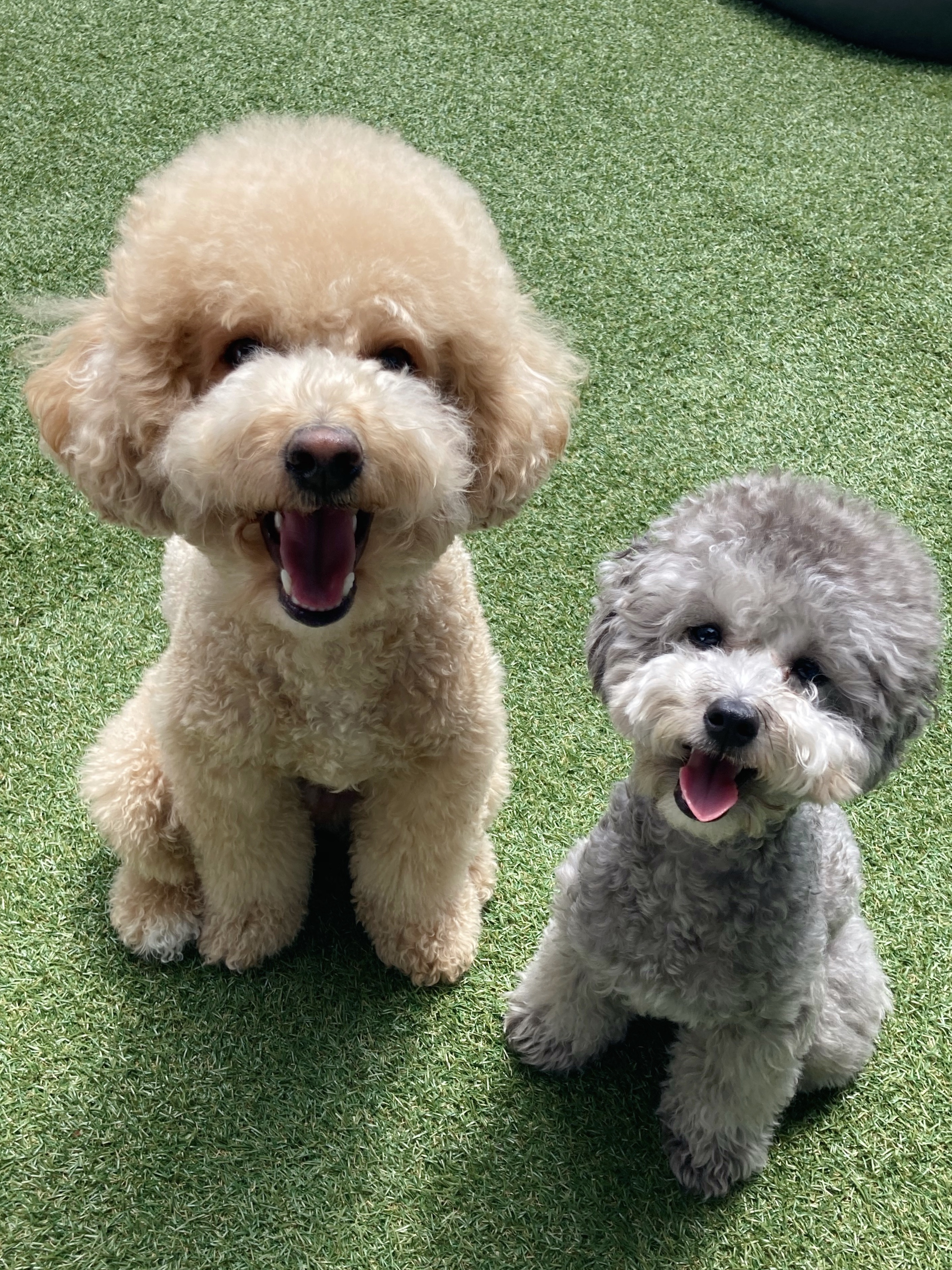 오마이구미 사진 2