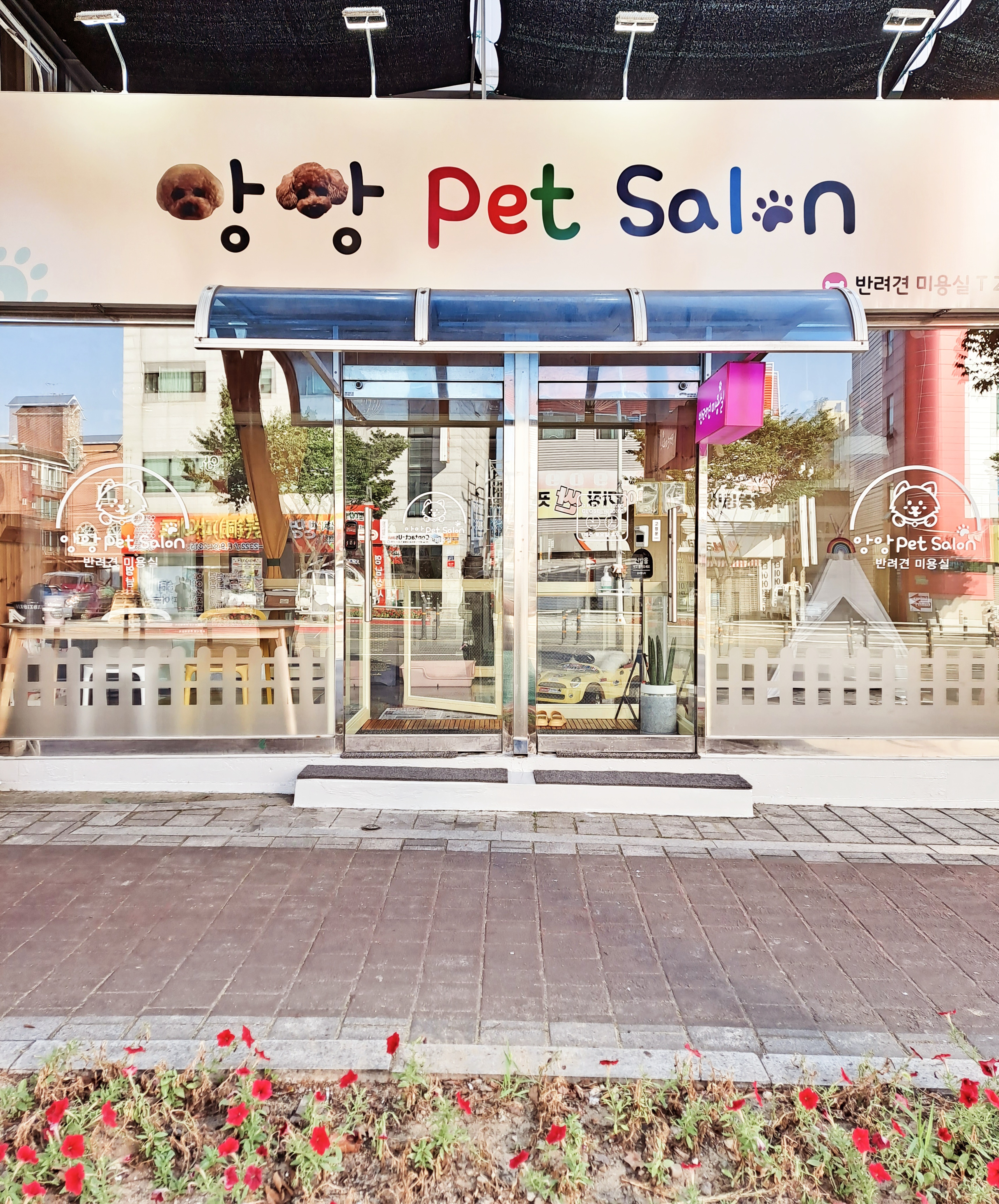앙앙펫살롱 대표 이미지