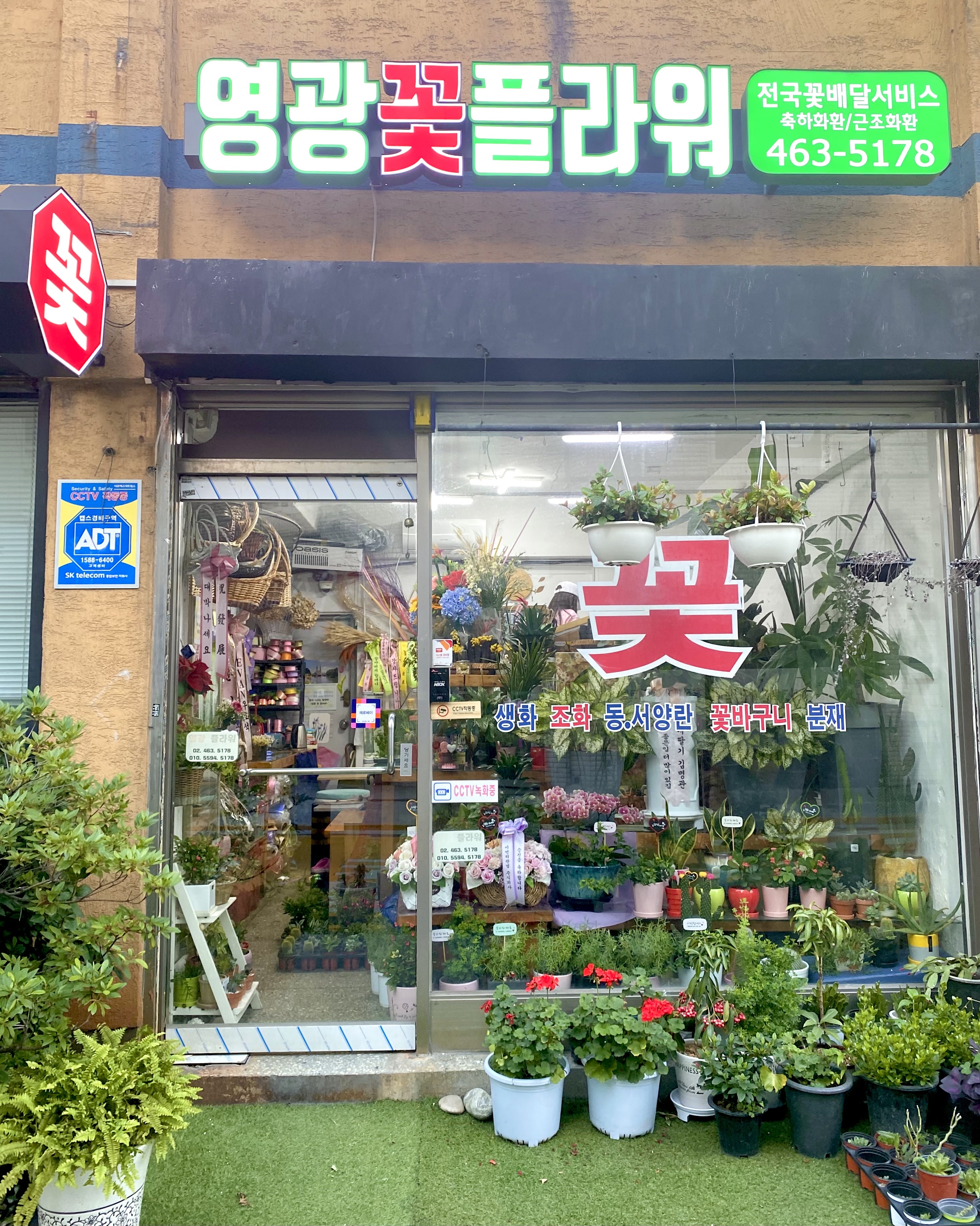 영광꽃플라워