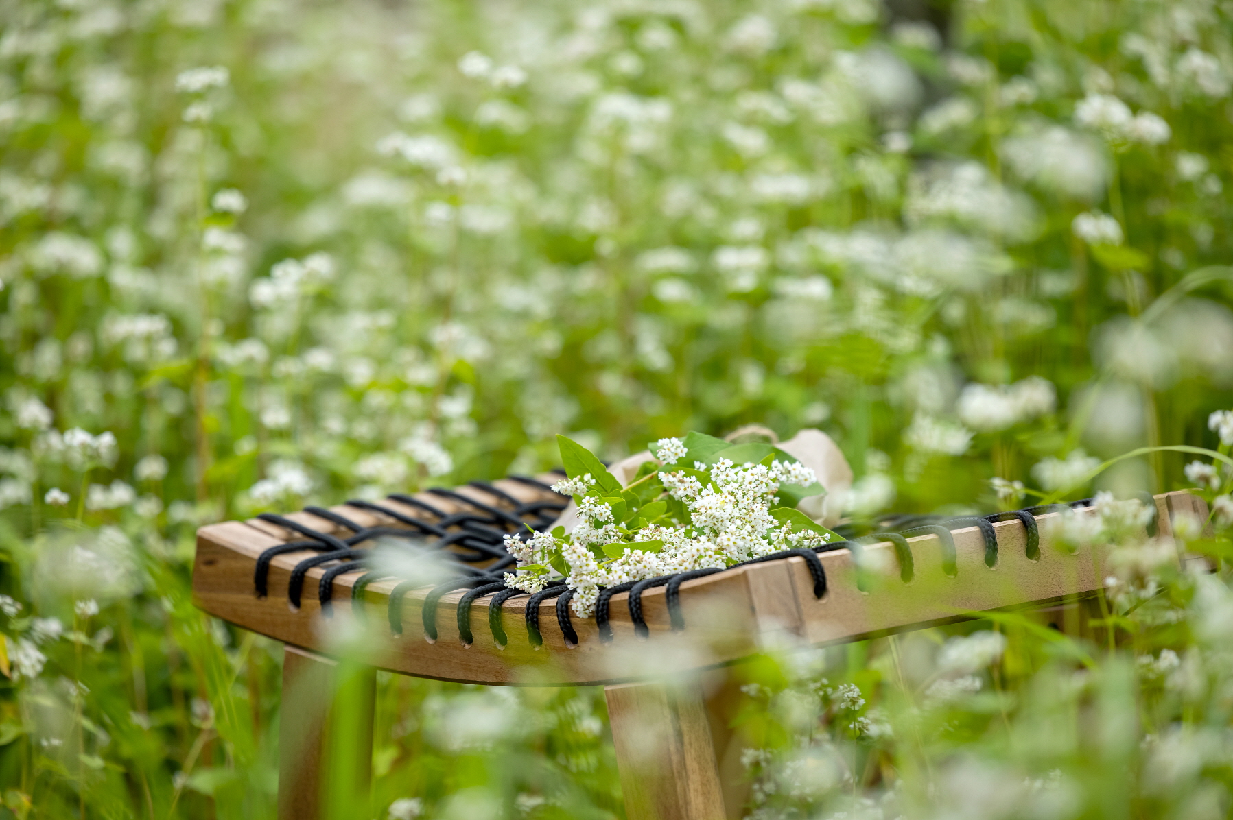카페 하추리 대표 이미지