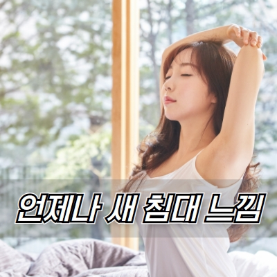 침대청소박사 고객센터