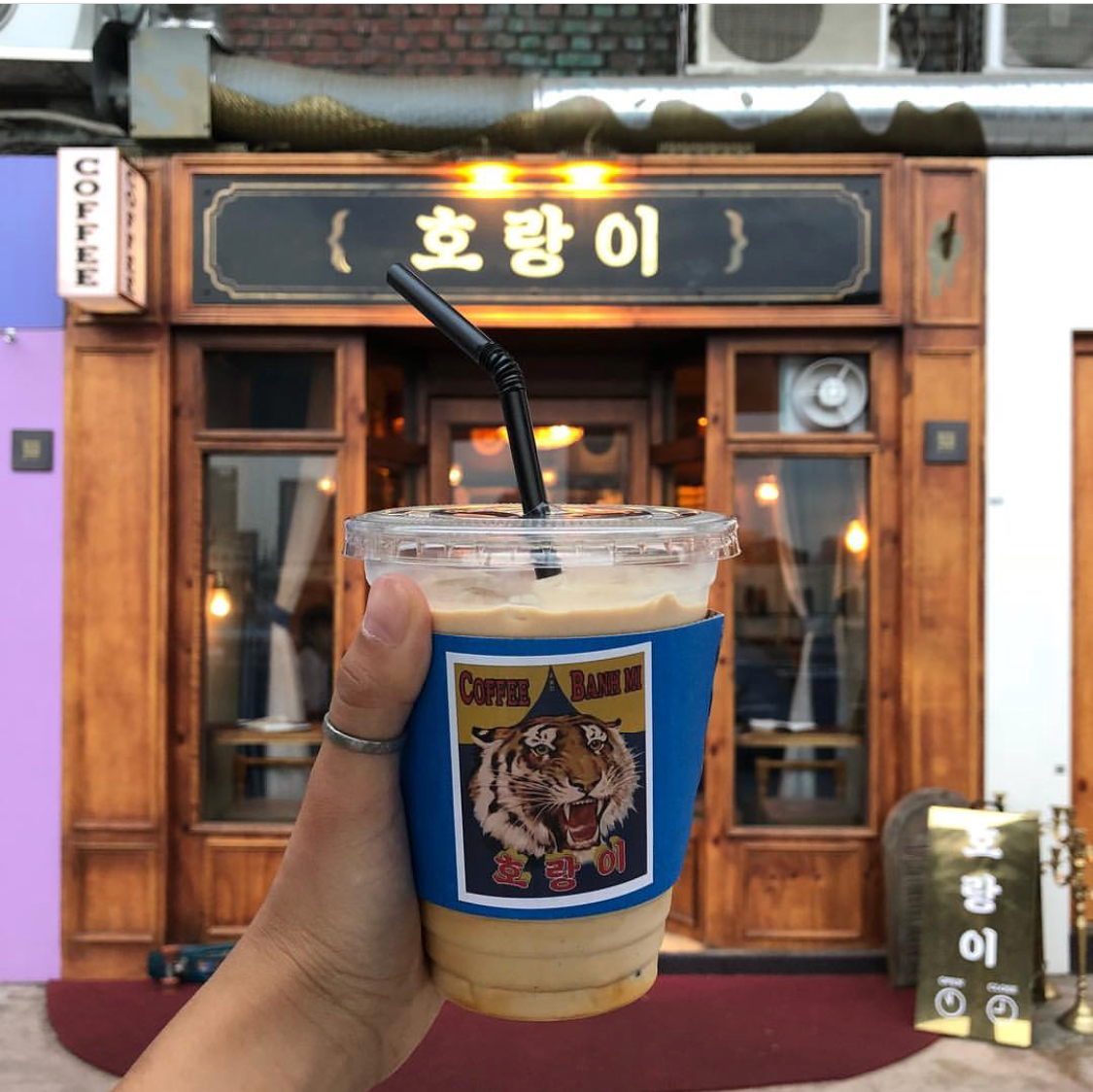 호랑이 대표 이미지