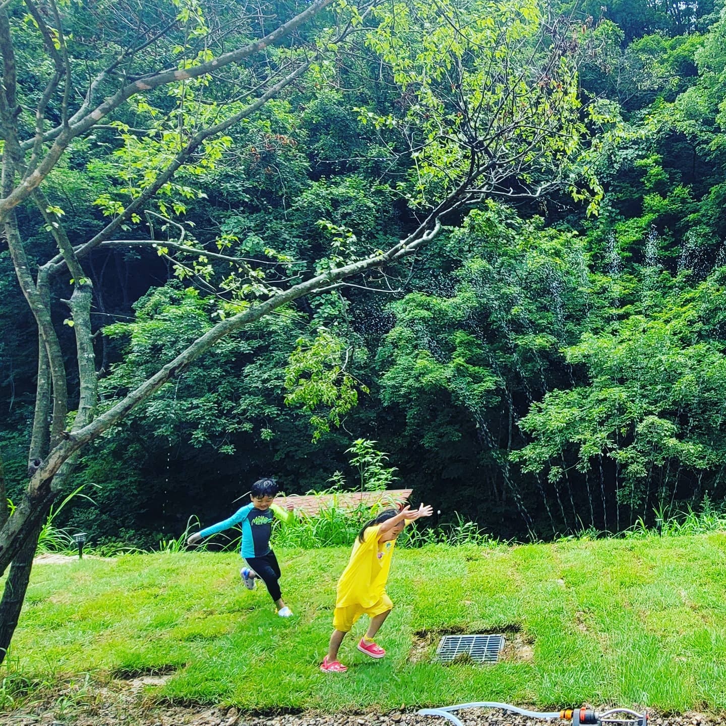 홍천반딧불캠핑장