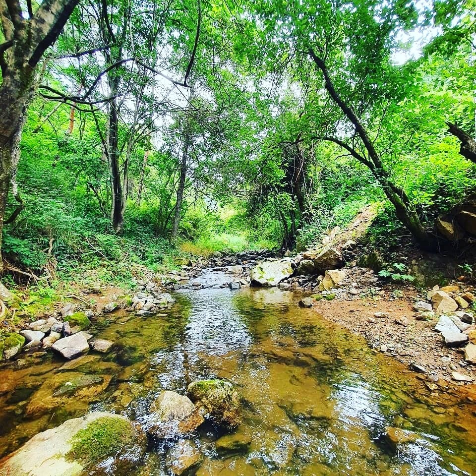 홍천반딧불캠핑장