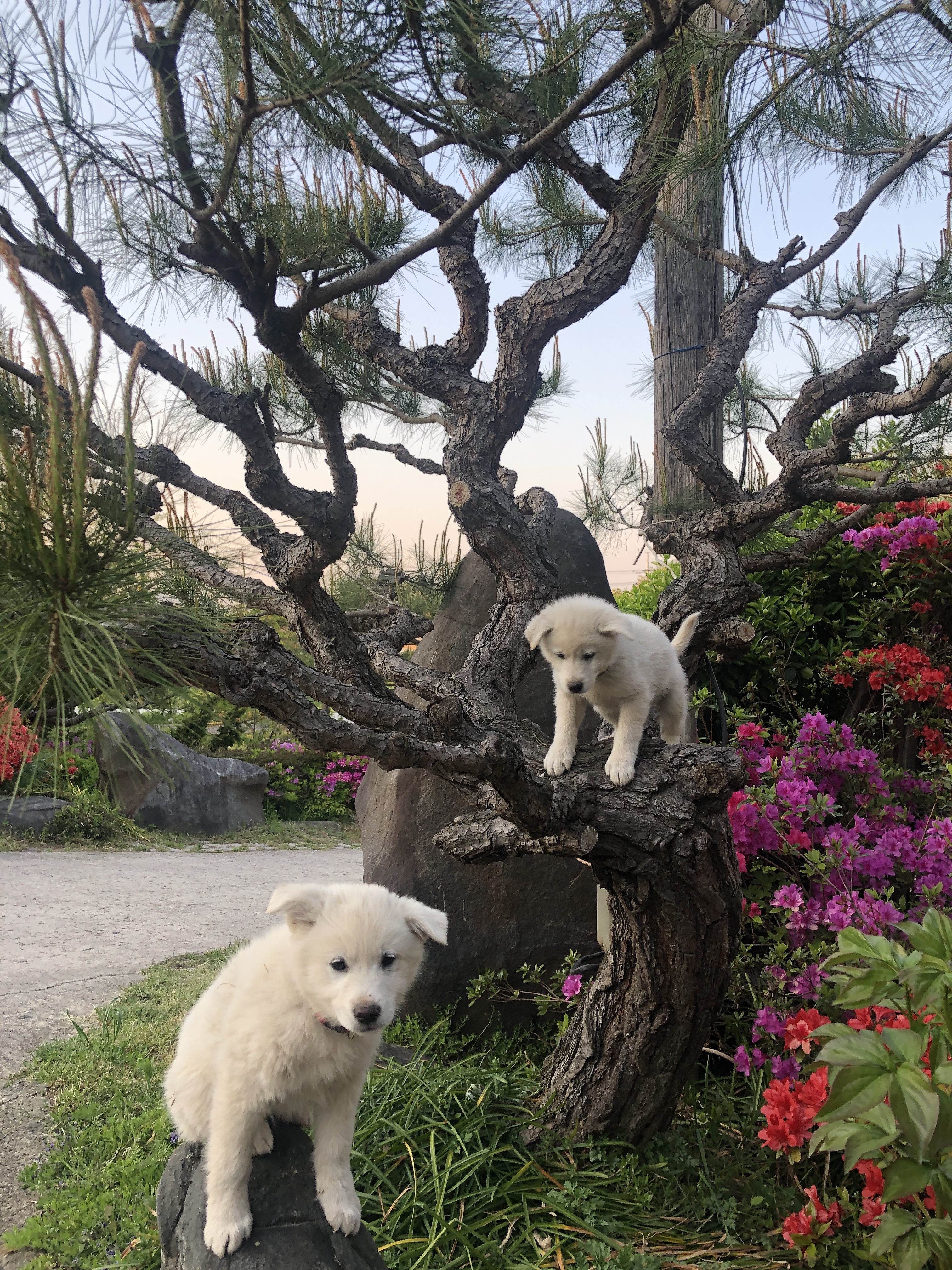 삼화관광농원