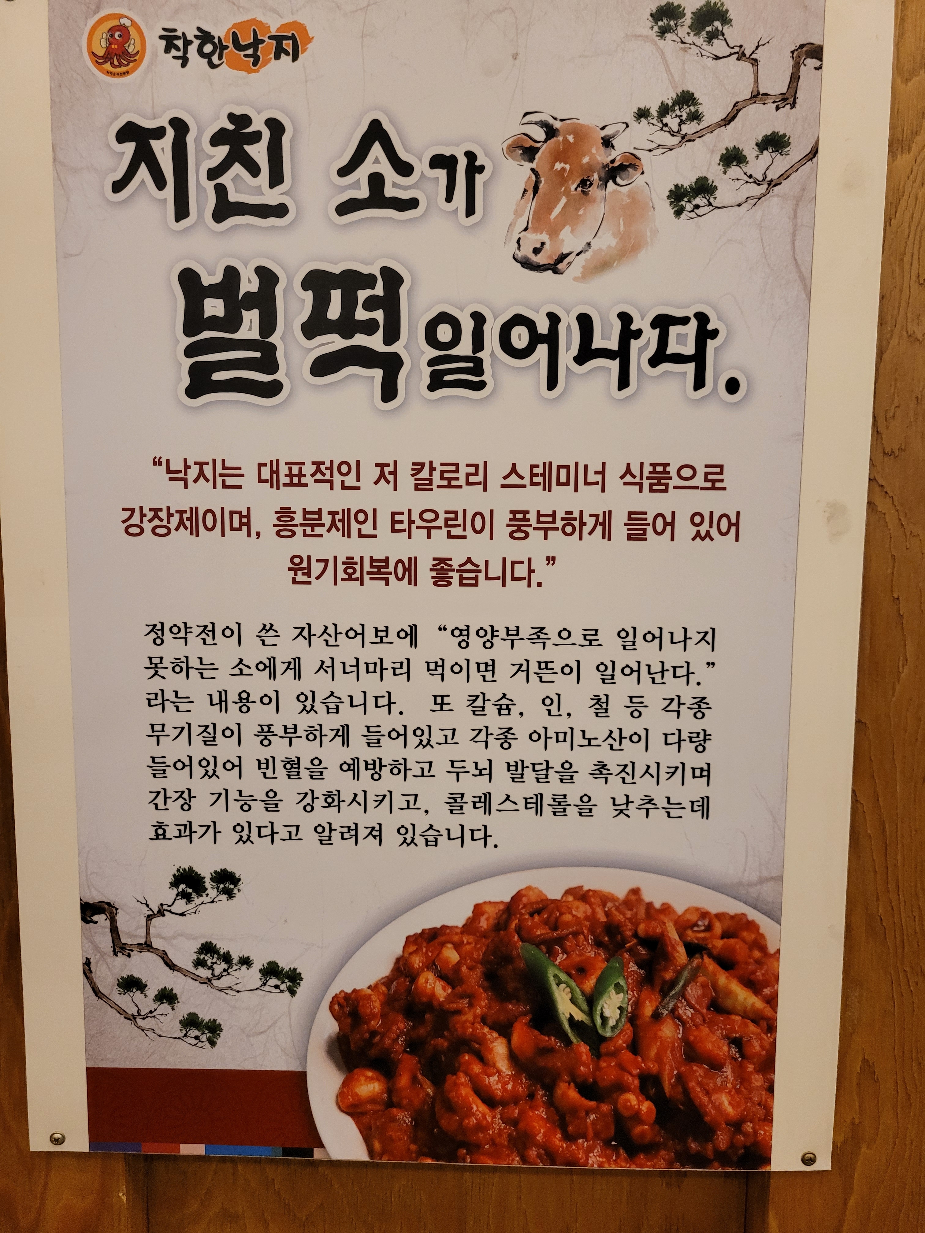 착한낙지 삼척점