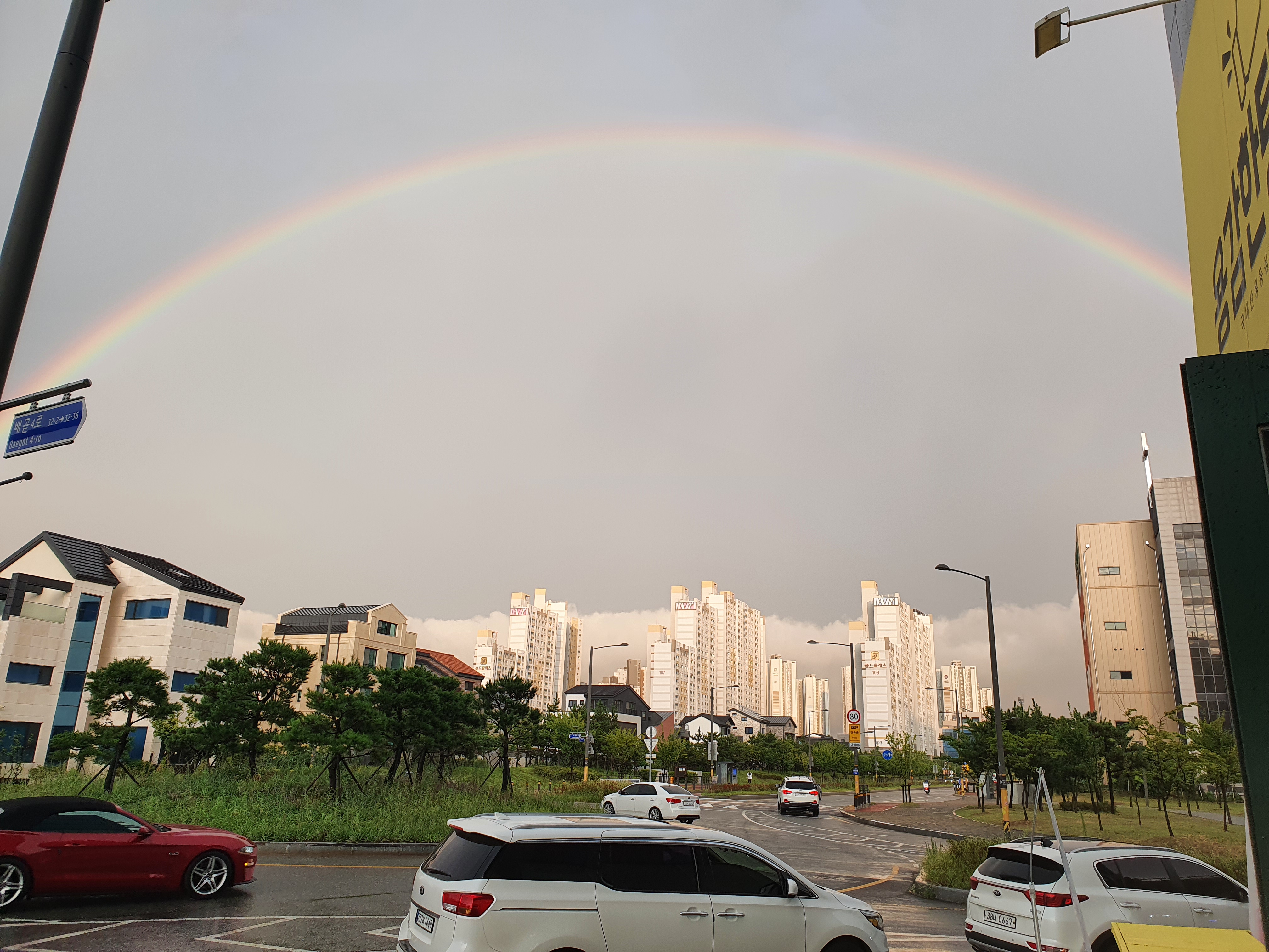 용감한탕수육