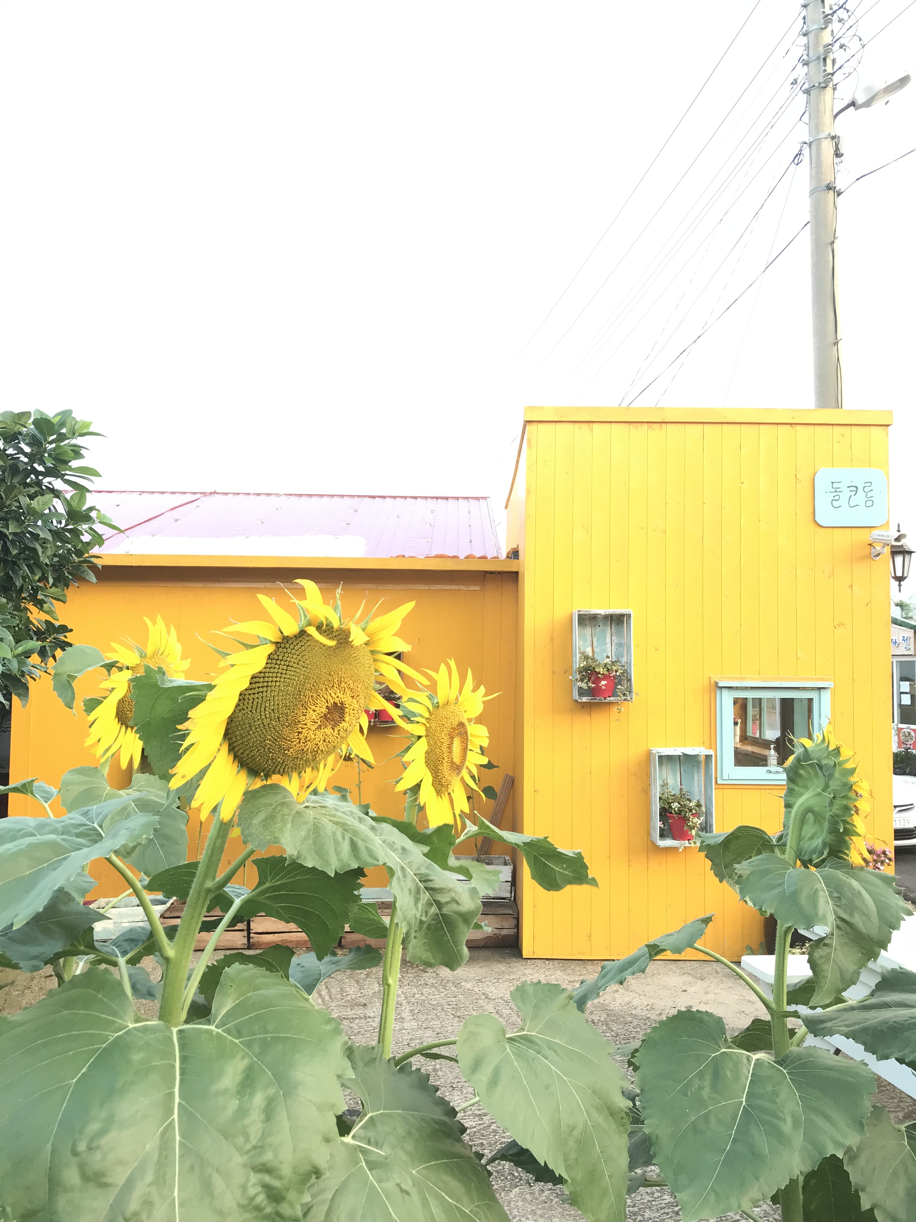 우도돌코롬카페