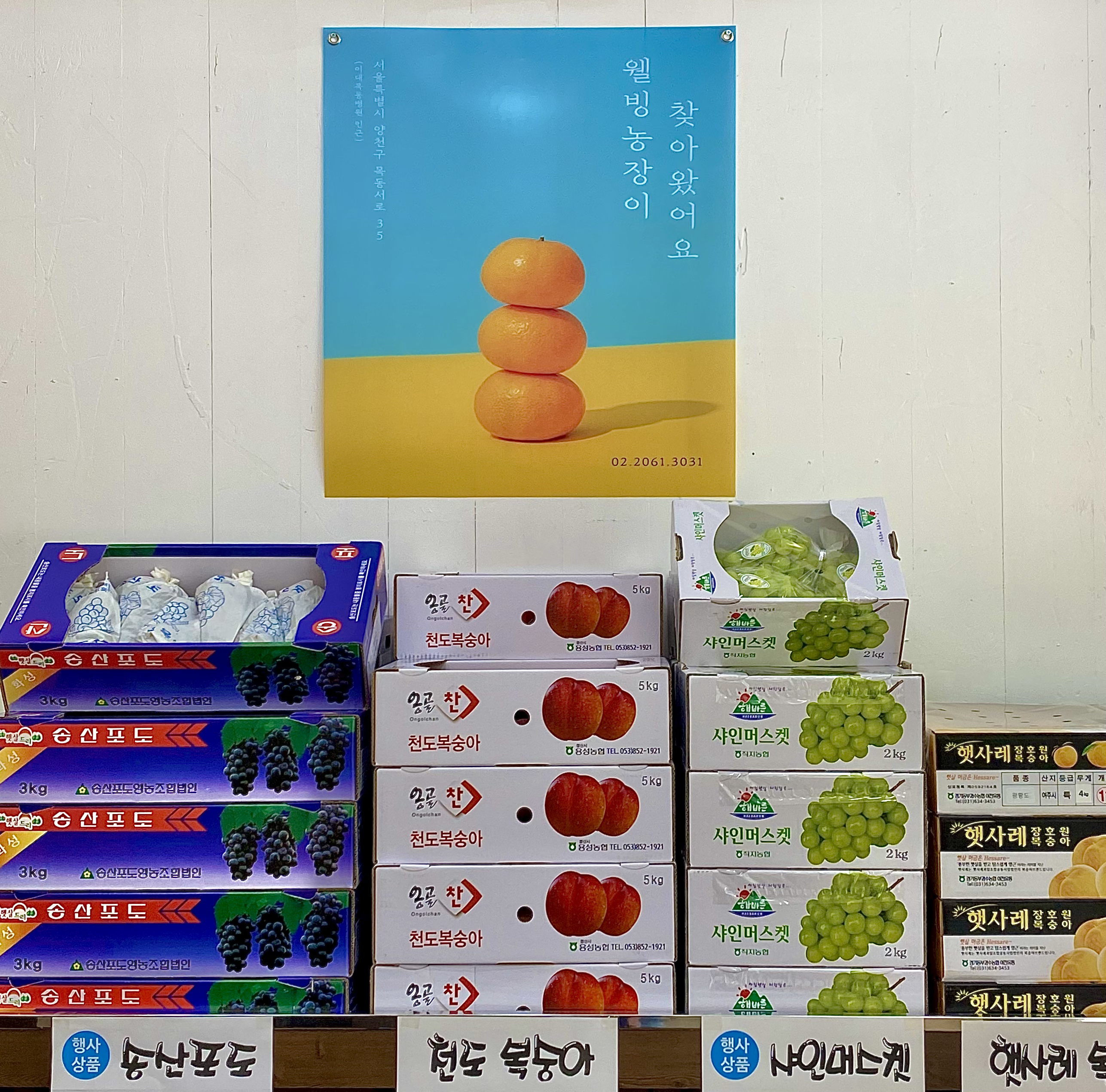 웰빙농장