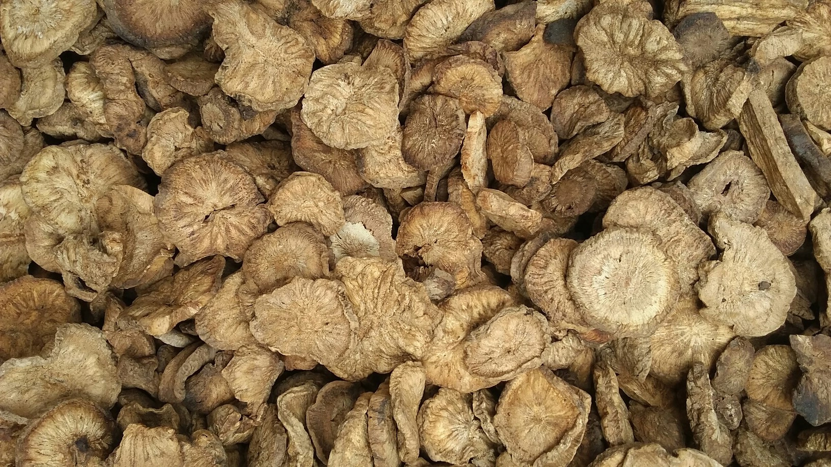 수정농원