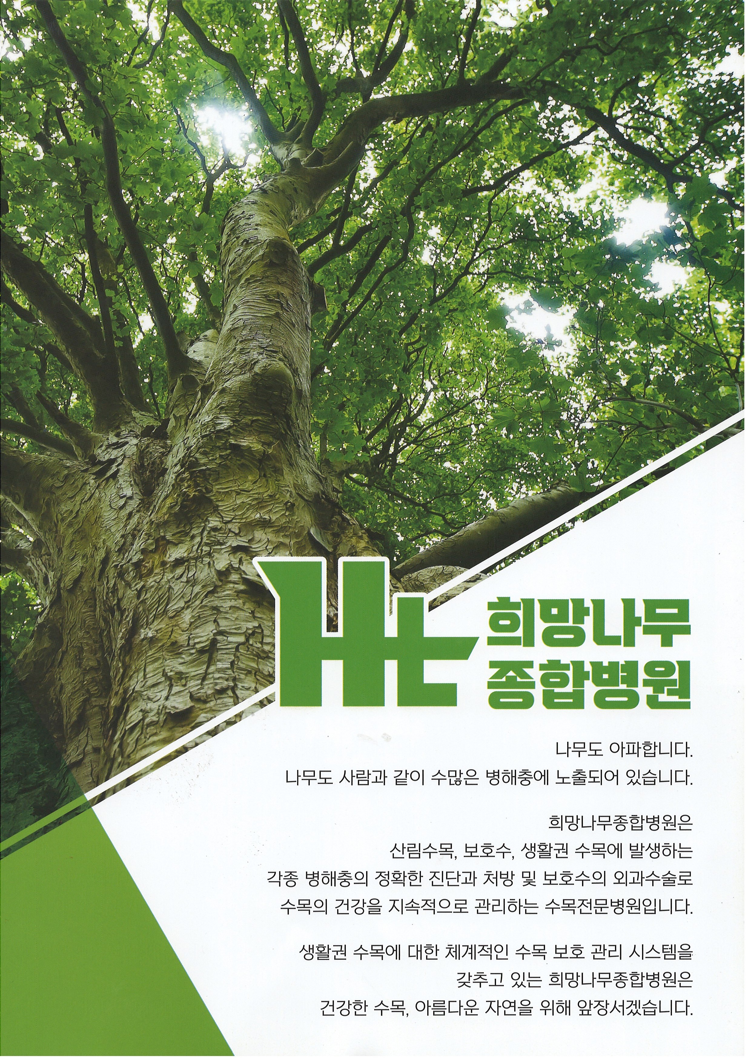 희망나무종합병원