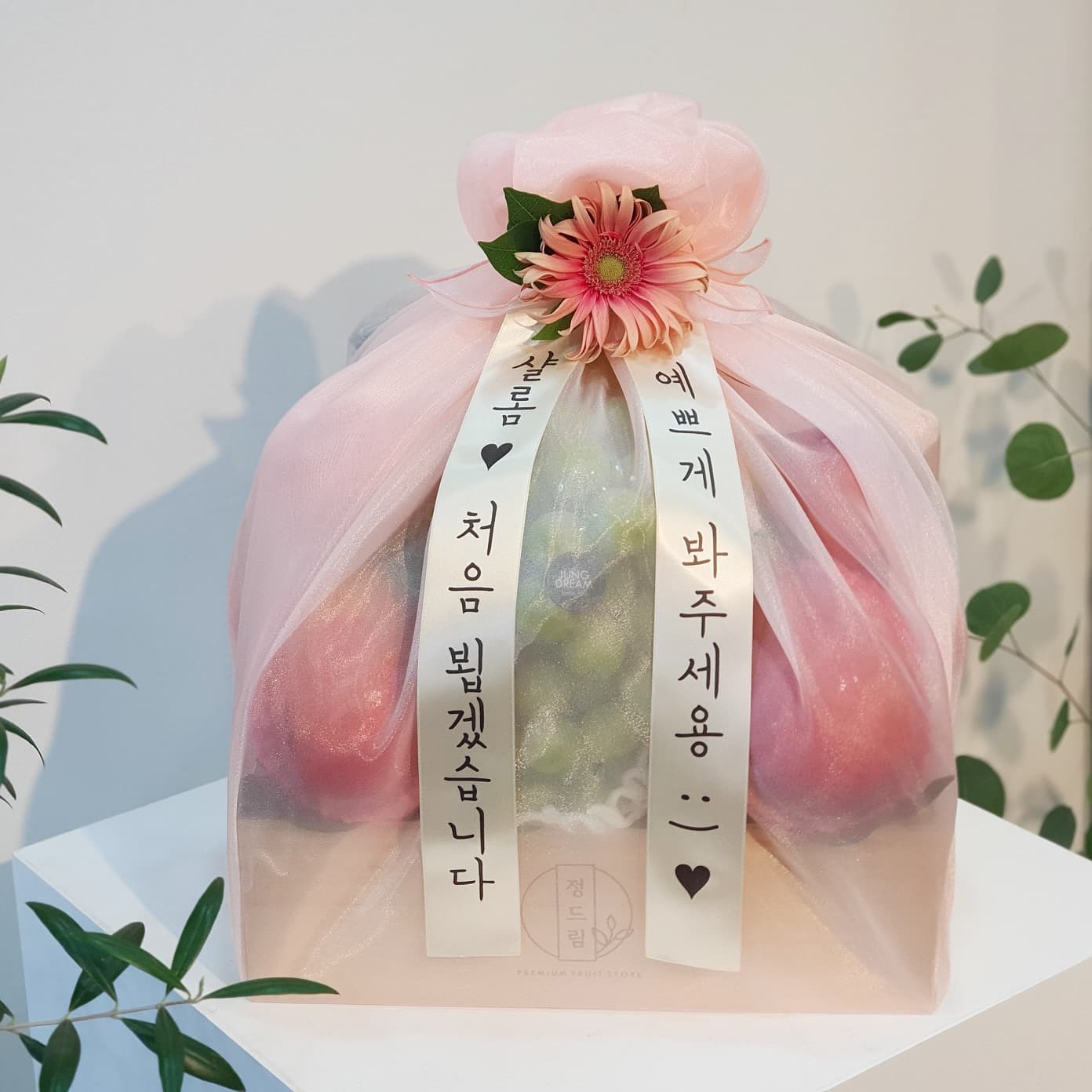과일향 창원점