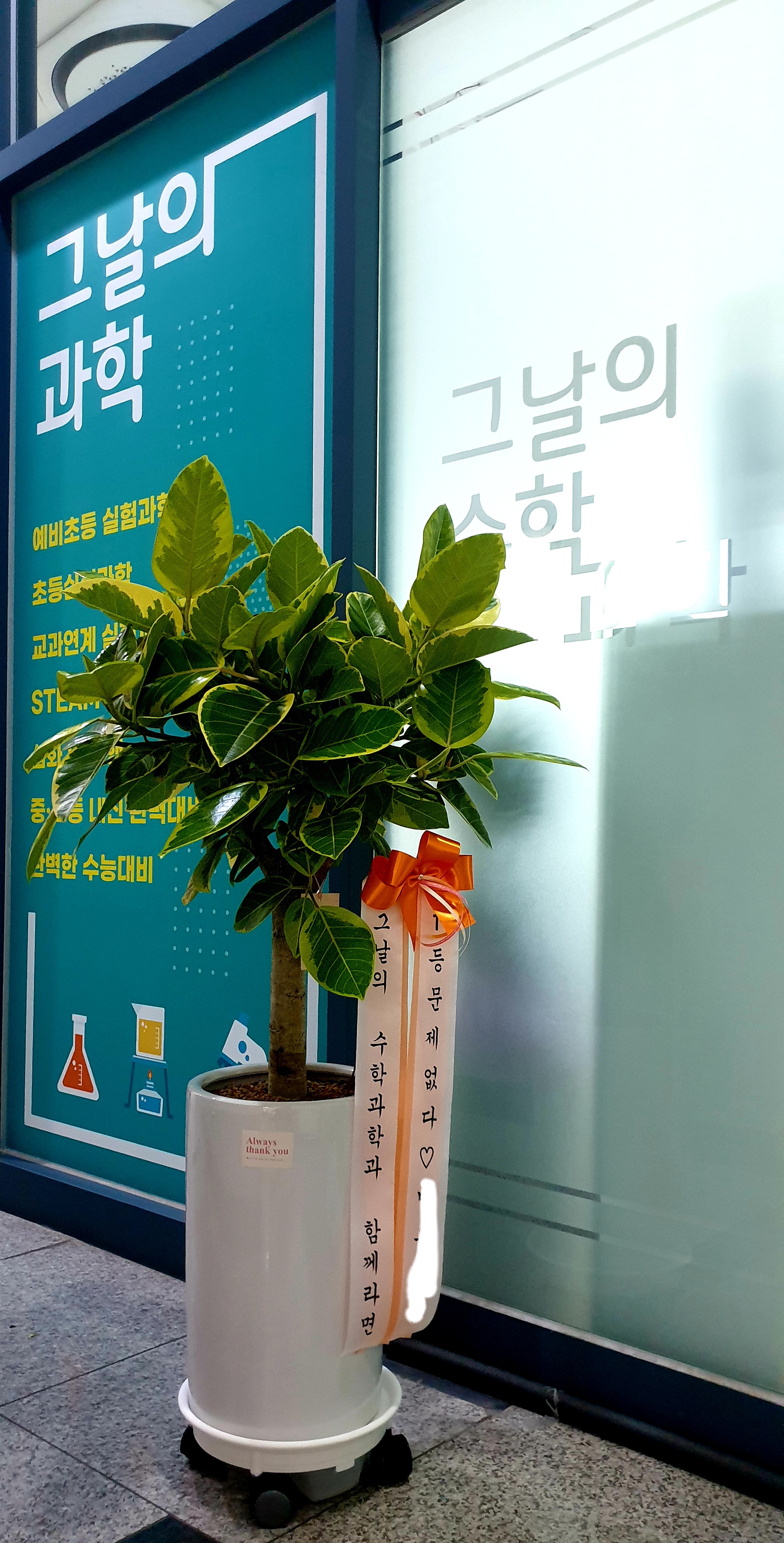 경성꽃방