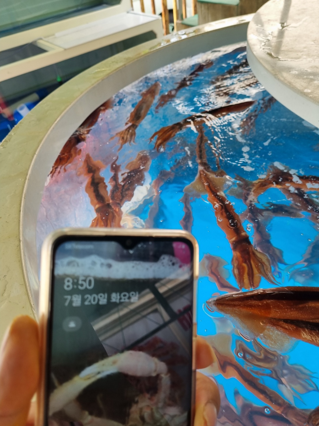 대게 홍게 한판20분