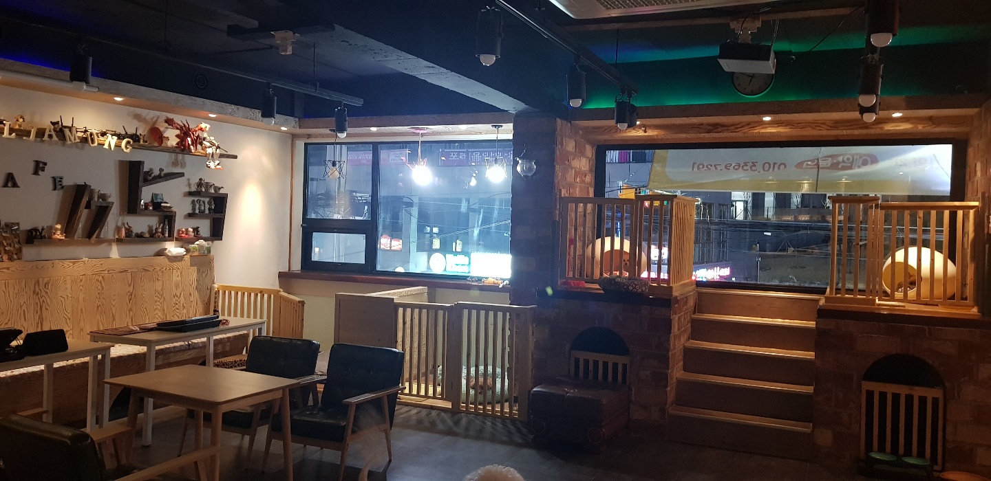 놀자멍애견샵 대표 이미지