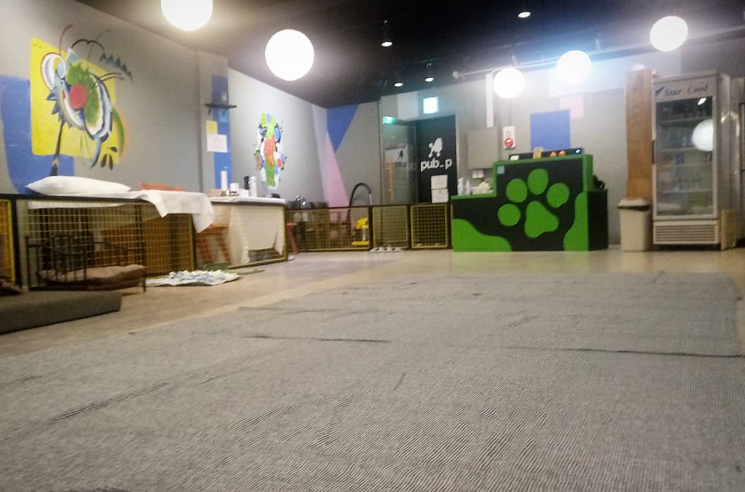 펍피 내부 이미지