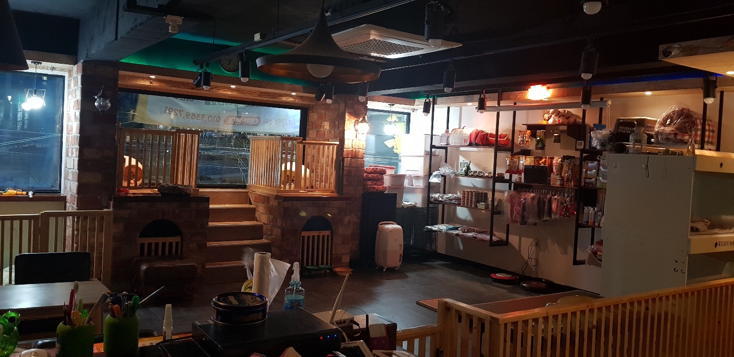 놀자멍애견샵 대표 이미지