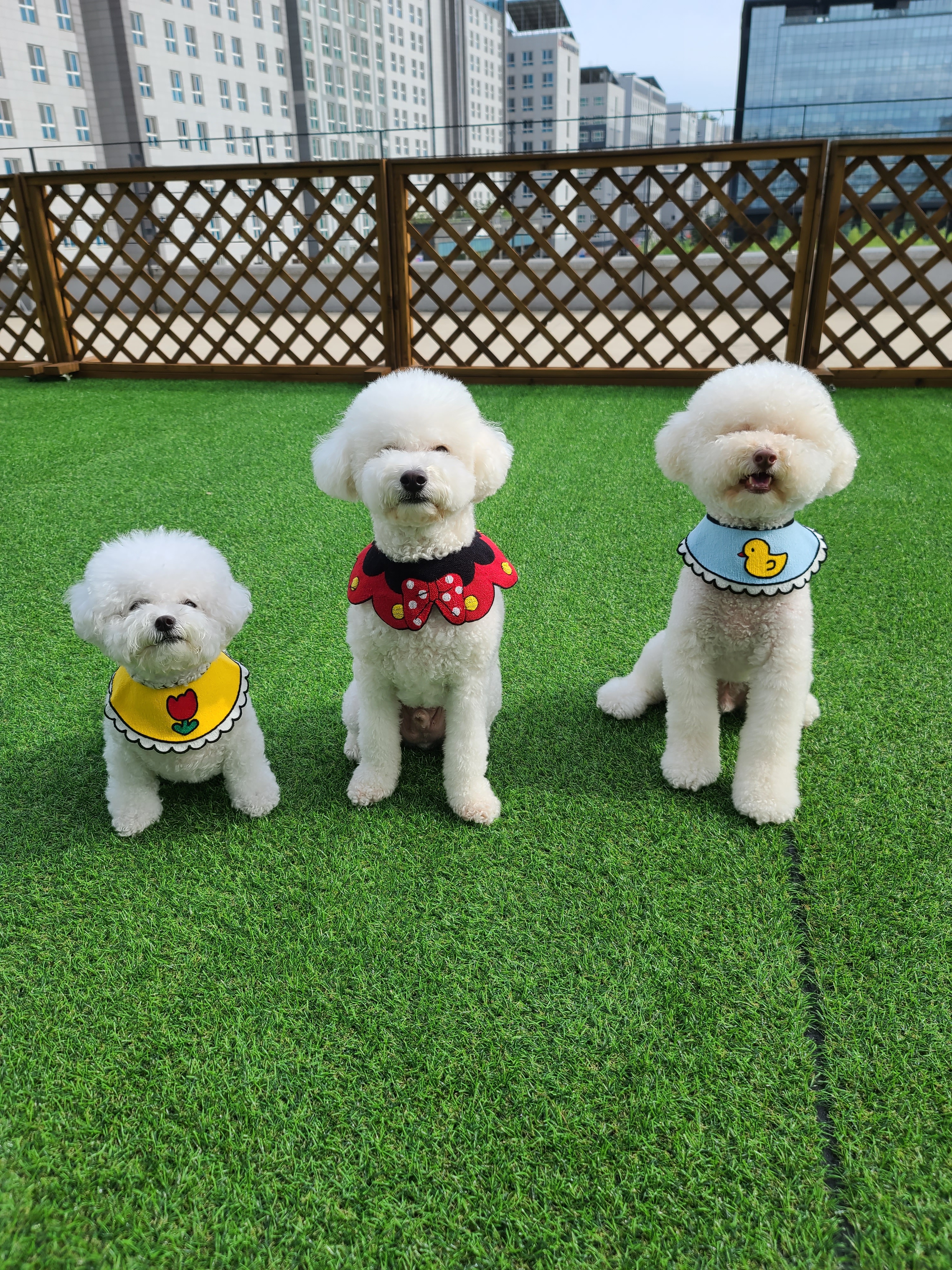 포독