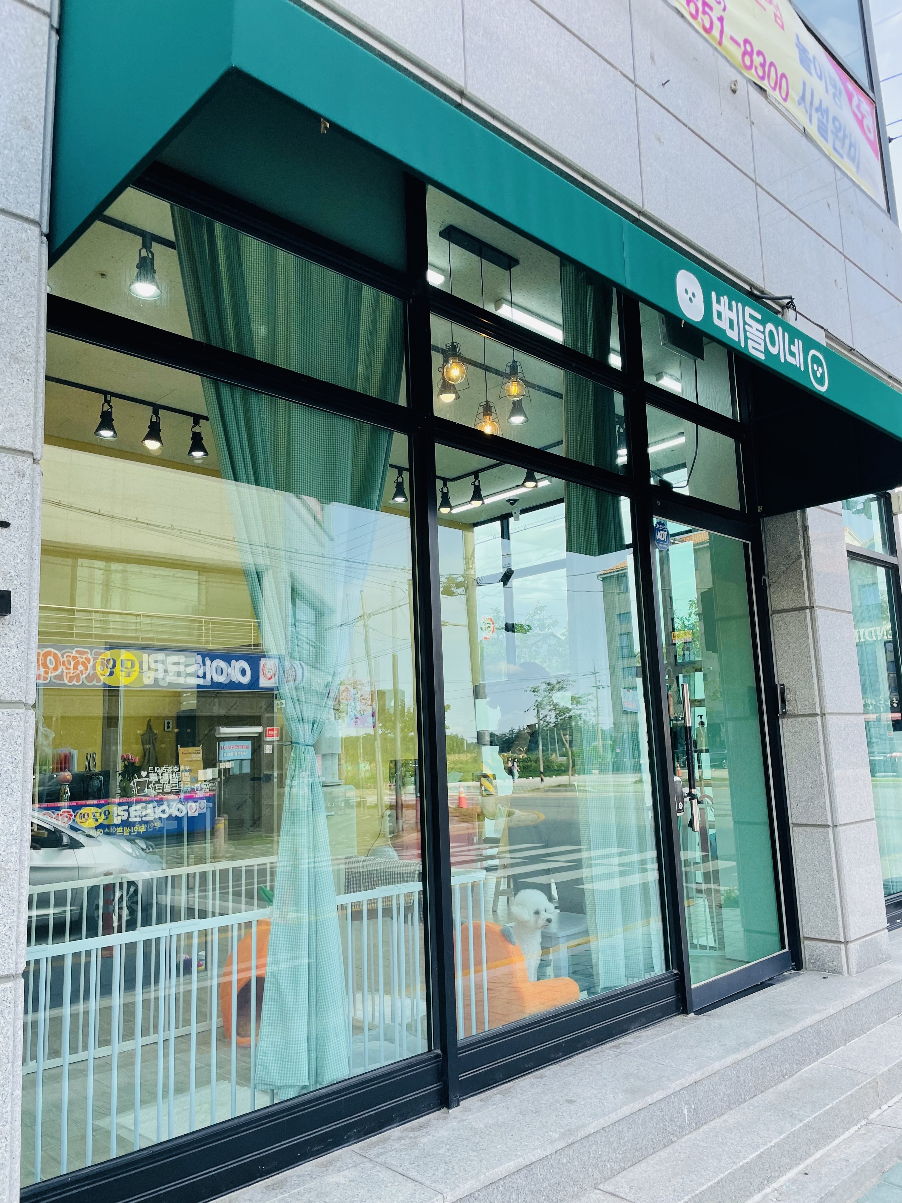 삐돌이네