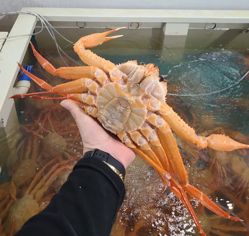 이레수산