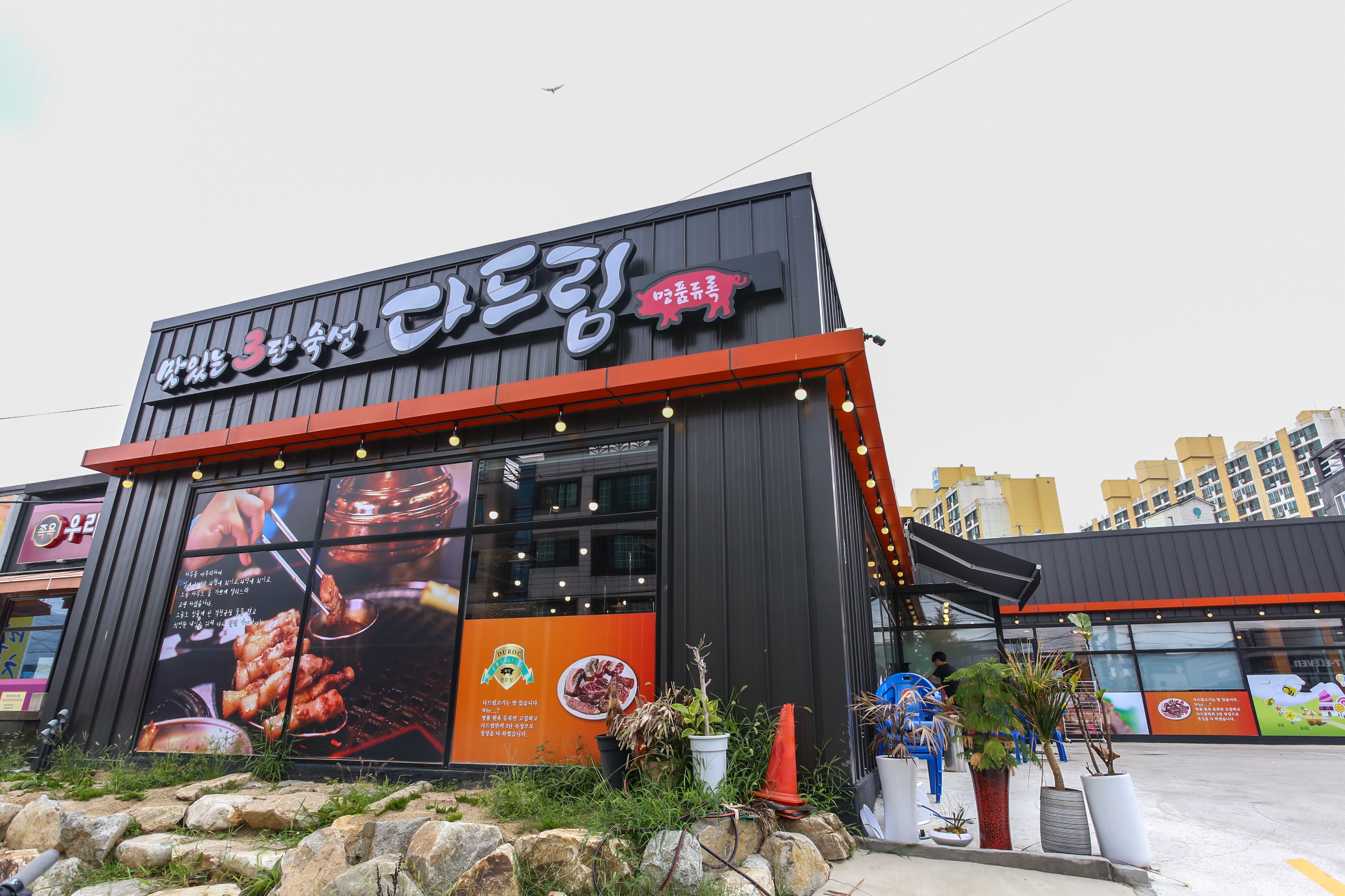 다드림 오태북삼