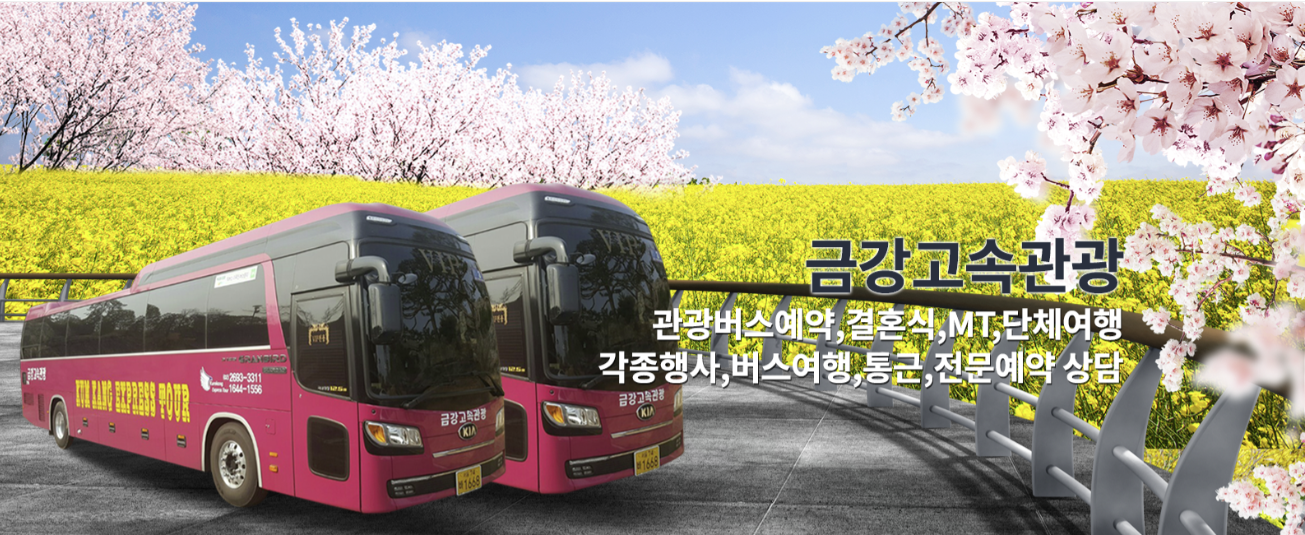 금강고속관광