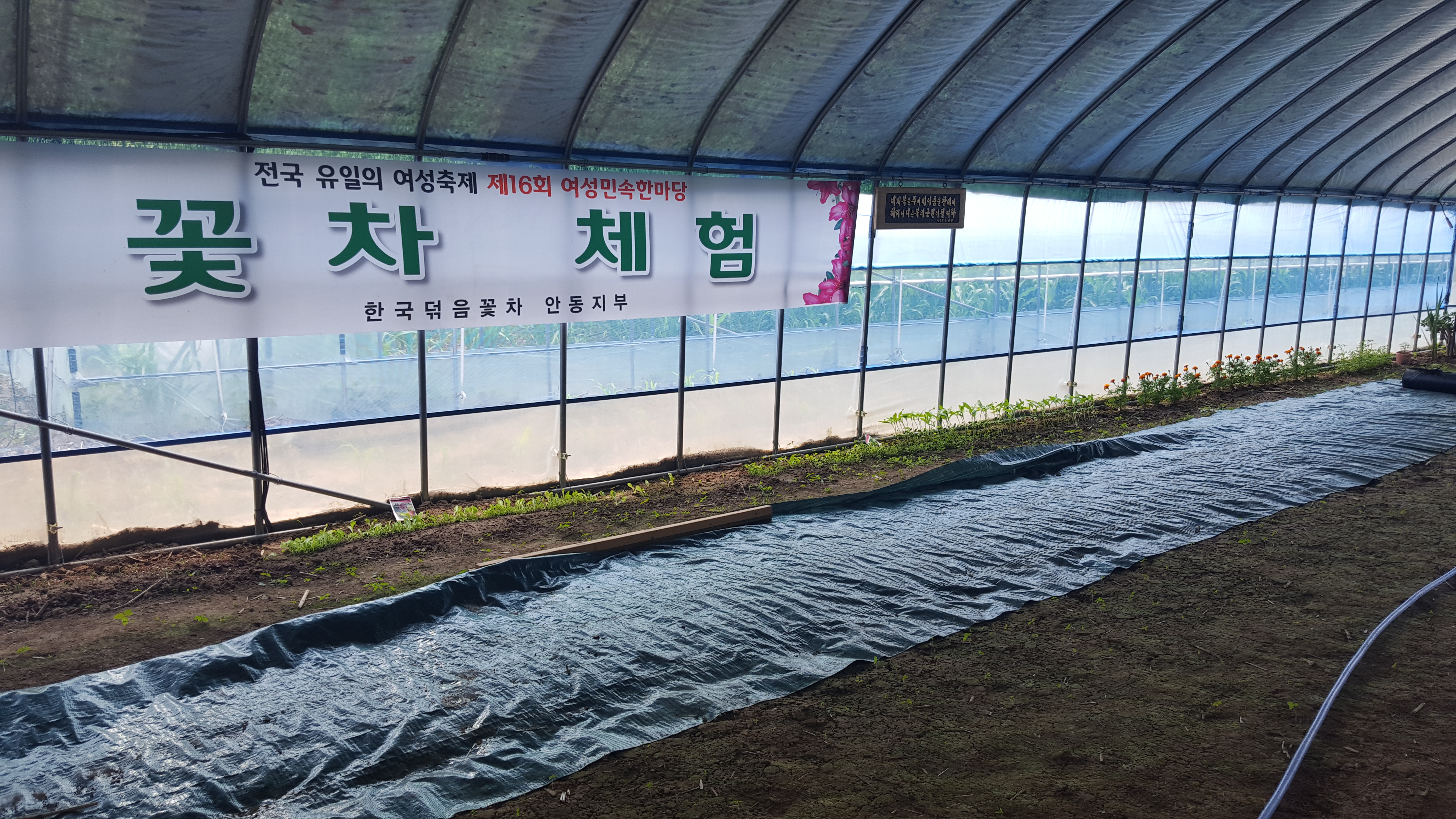 오미꽃차 교육원 &농장