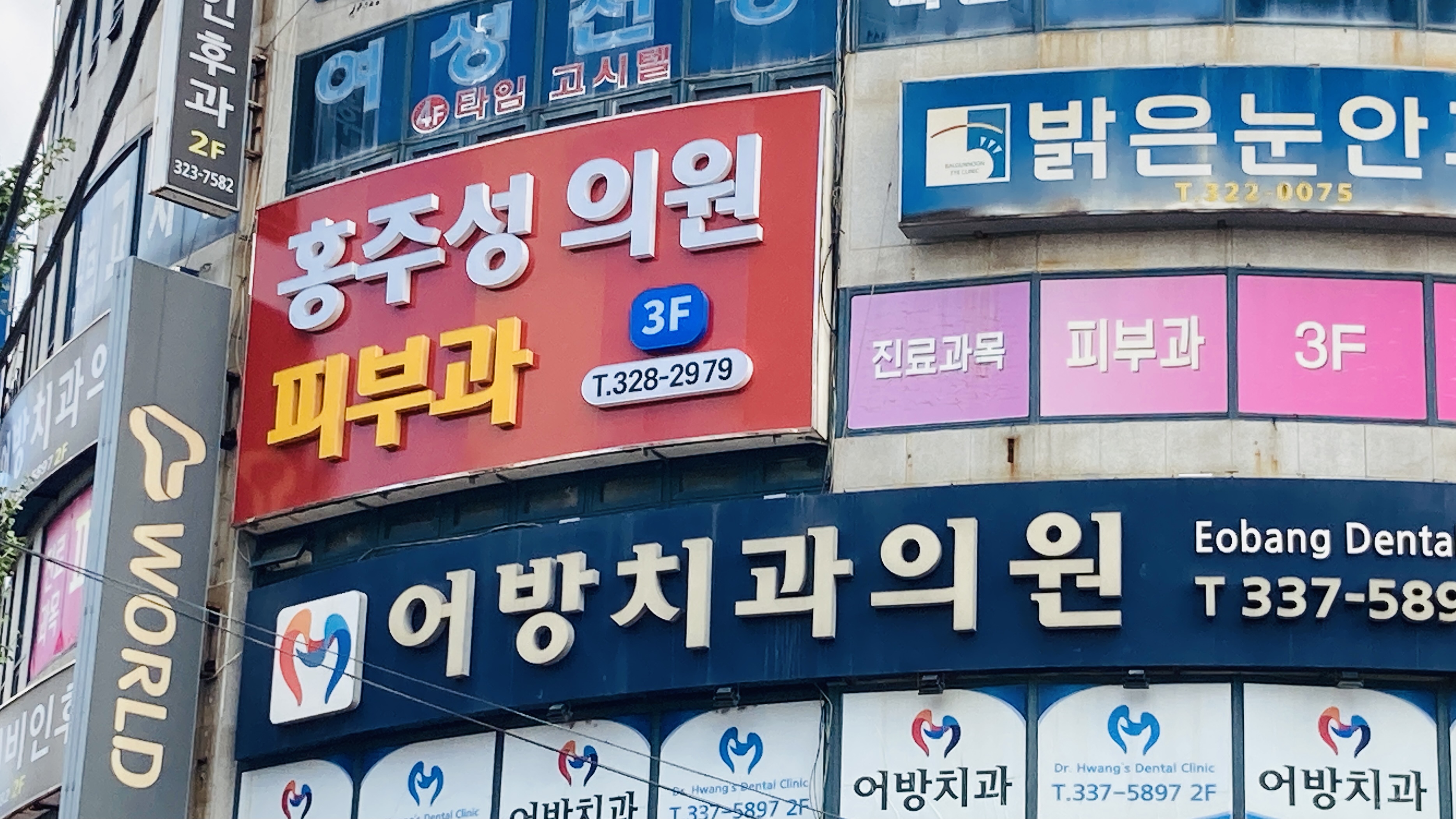 홍주성의원 이미지
