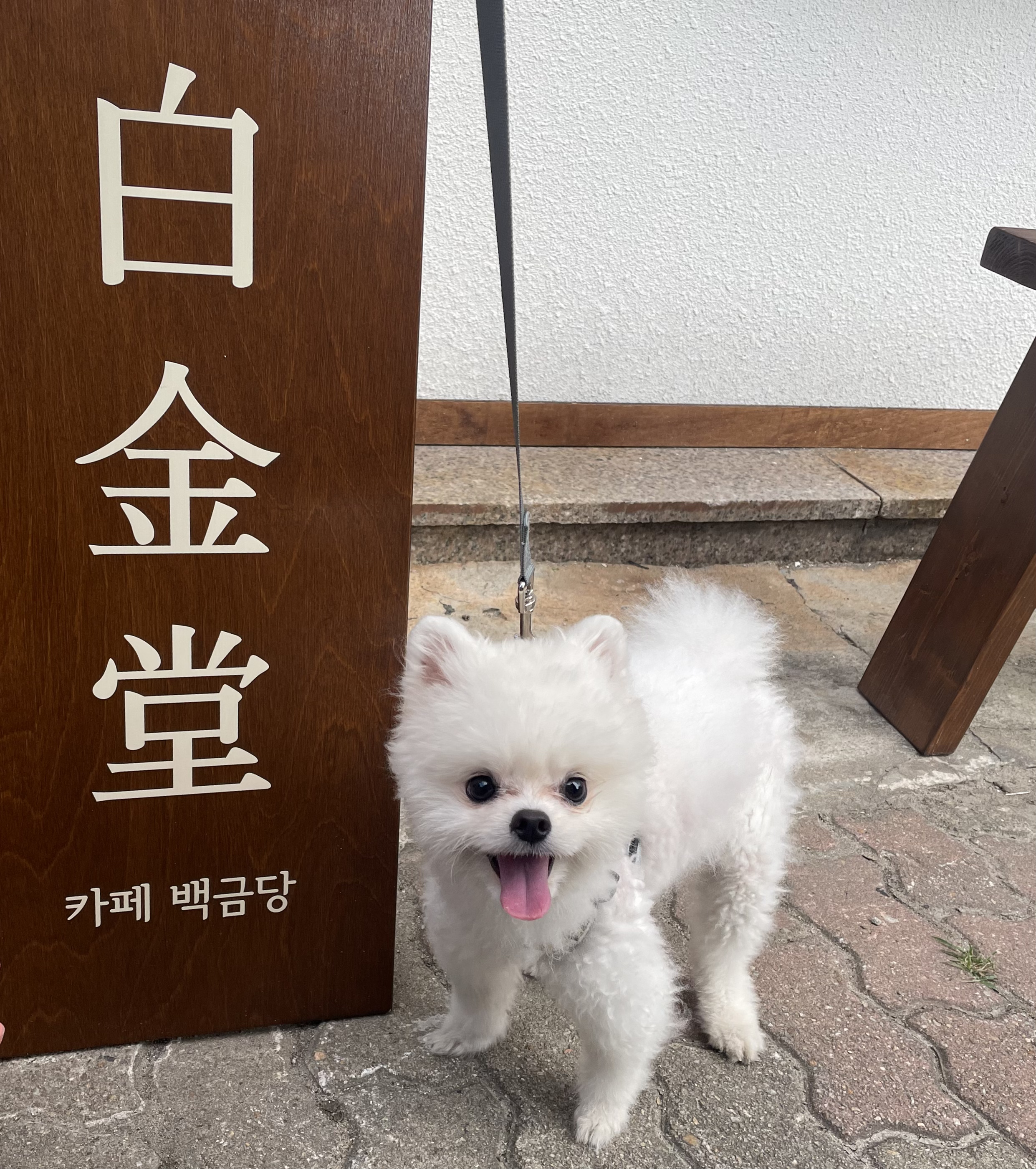 백금당 부천점 3