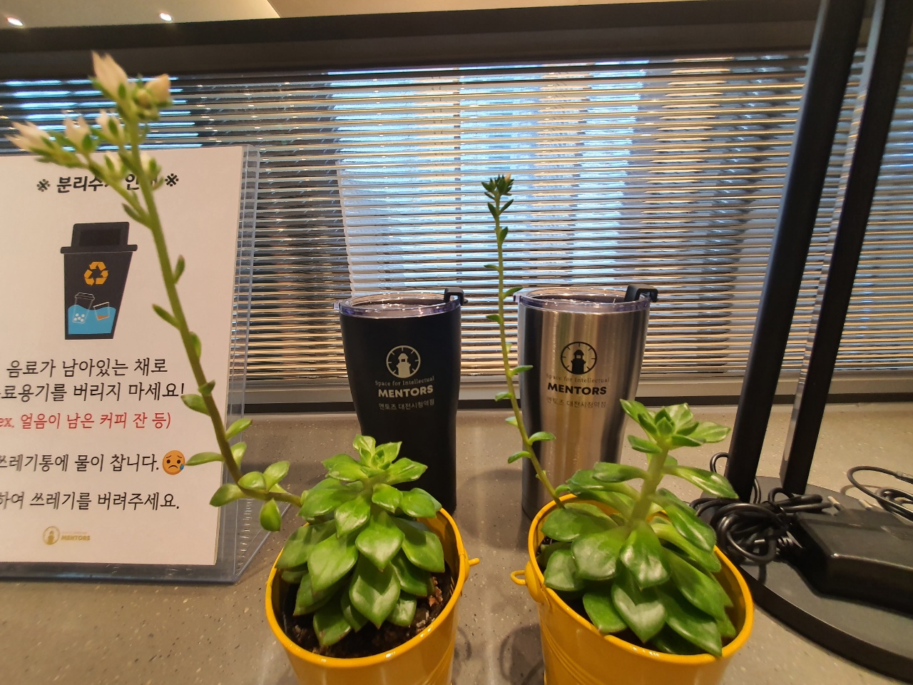 업체사진