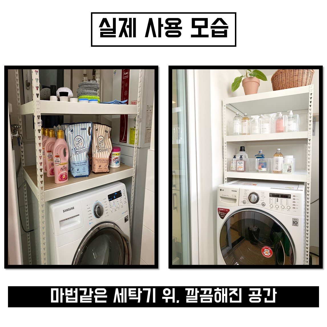 마노스커피 반려동물 동반 애견카페