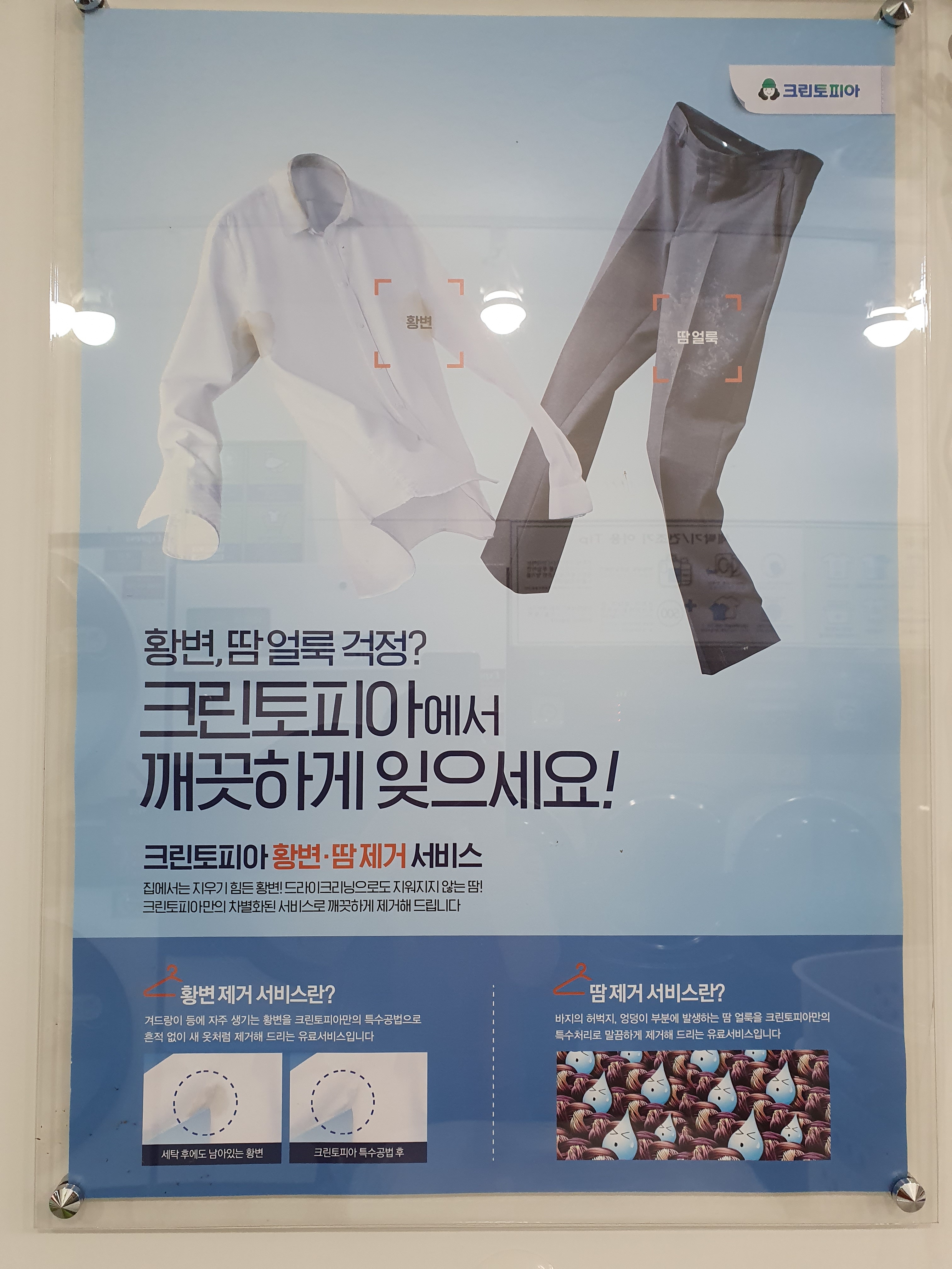 크린토피아 코인워시 김해주촌센텀두산점