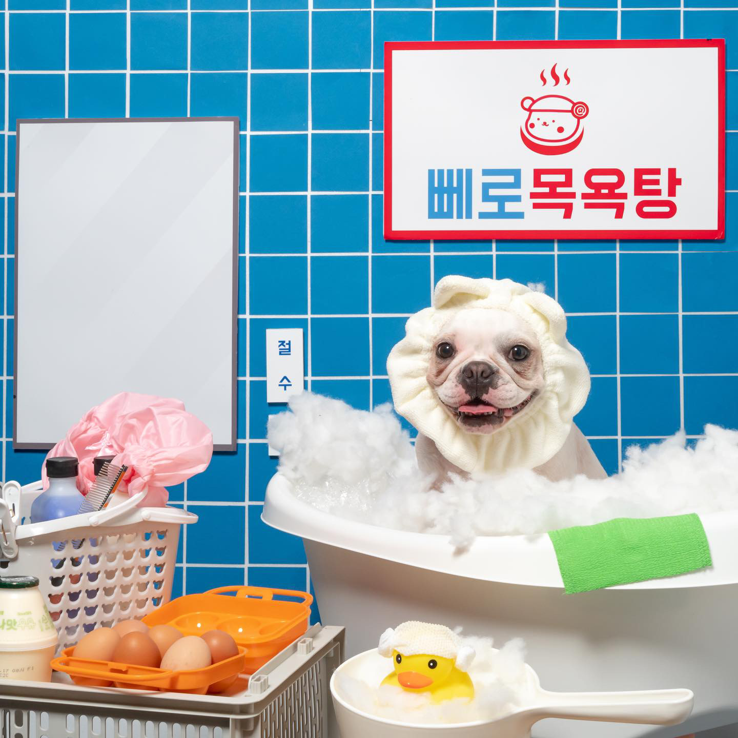 이미지