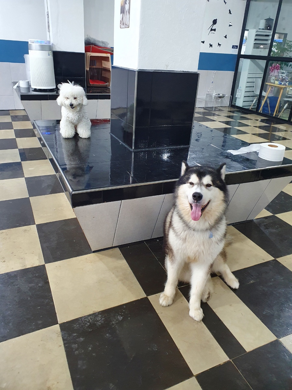 이미지