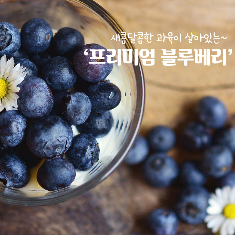 영화청과 내부 또는 관련 모습