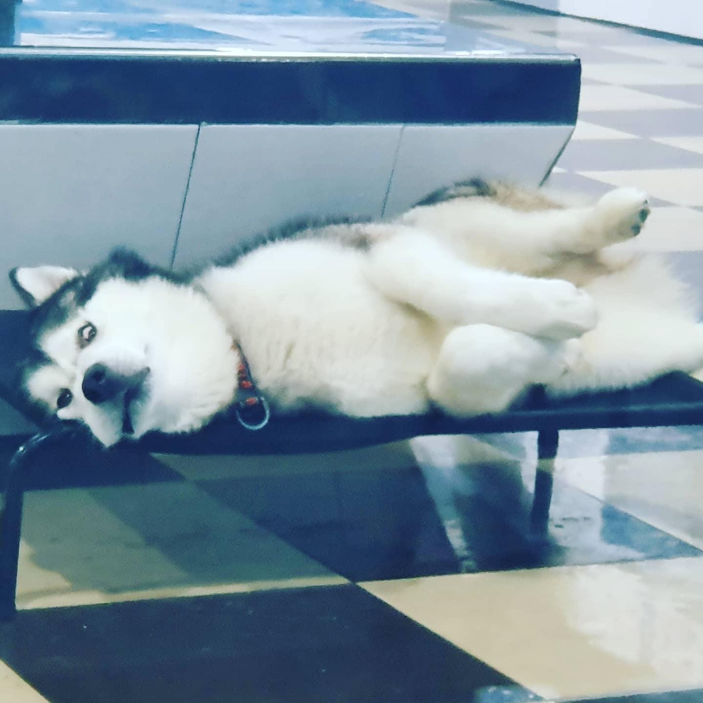 이미지