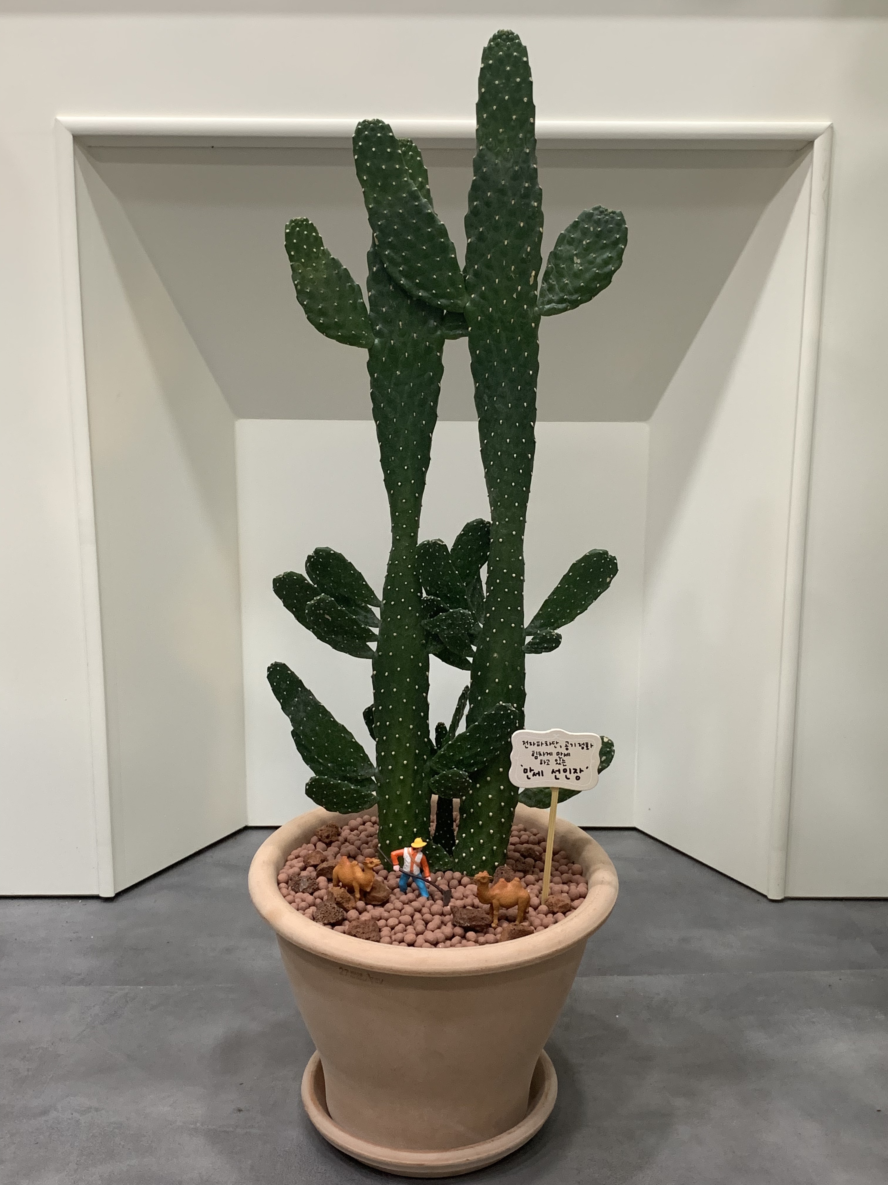 지우꽃집
